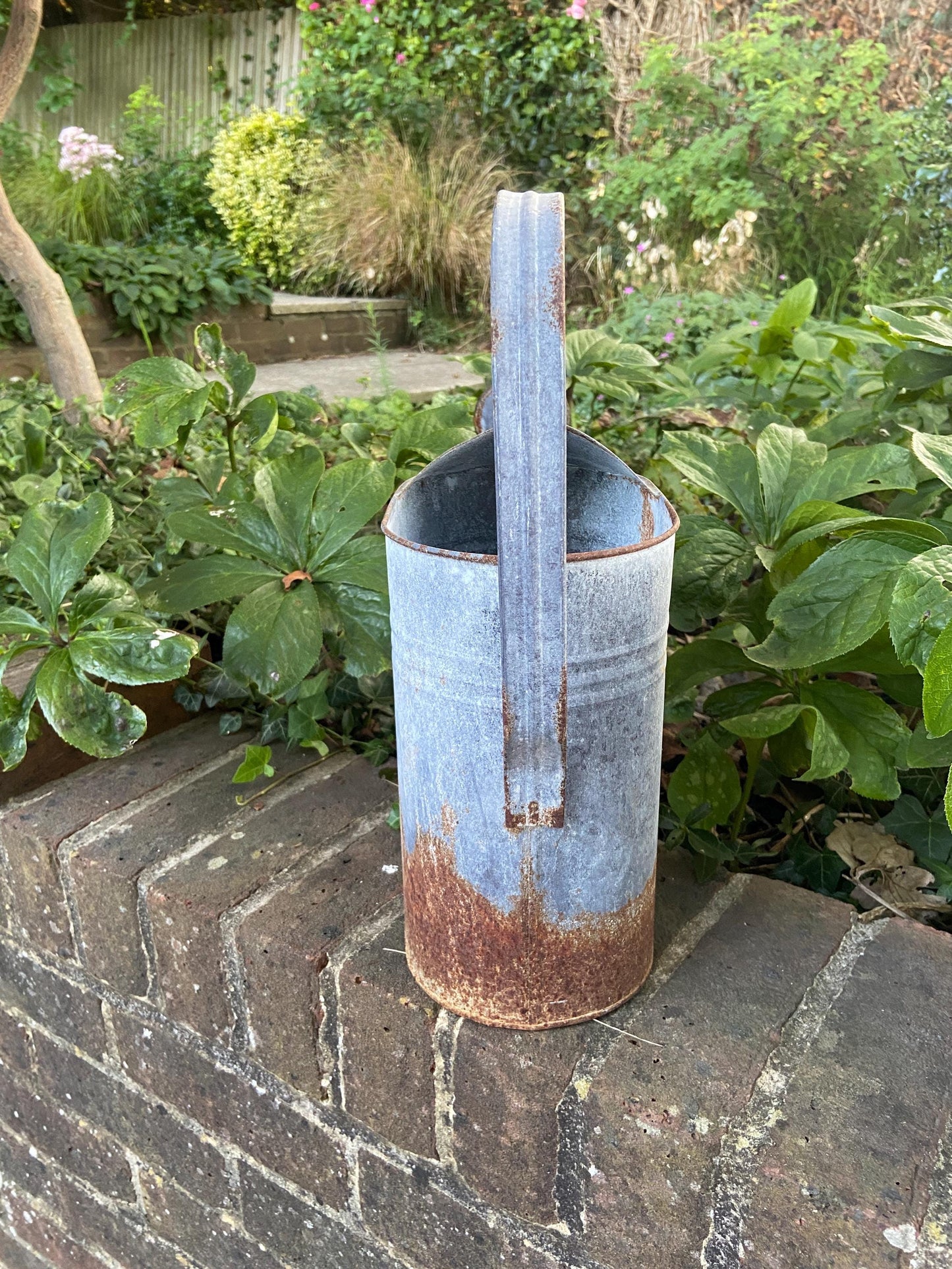 Vintage early 1900s metal watering can with spout and rain shower head