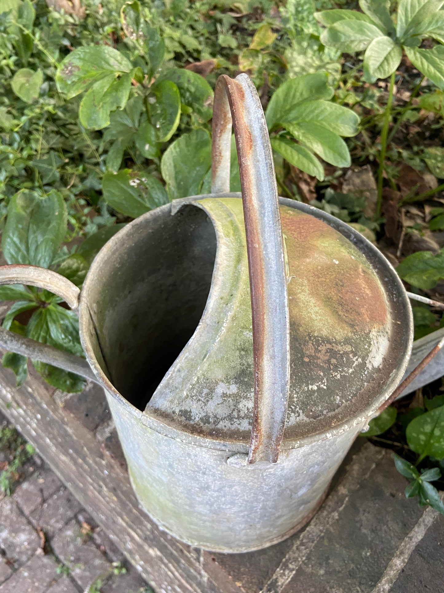 Vintage gardening watering can - vintage water can, vintage gardenware, antique watering can, 2 gallons, early 1900s