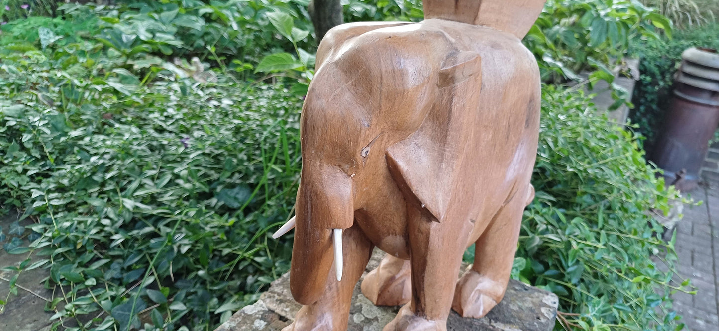 Superb Large Hand Carved Hardwood Elephant with Intact Tusks African Art