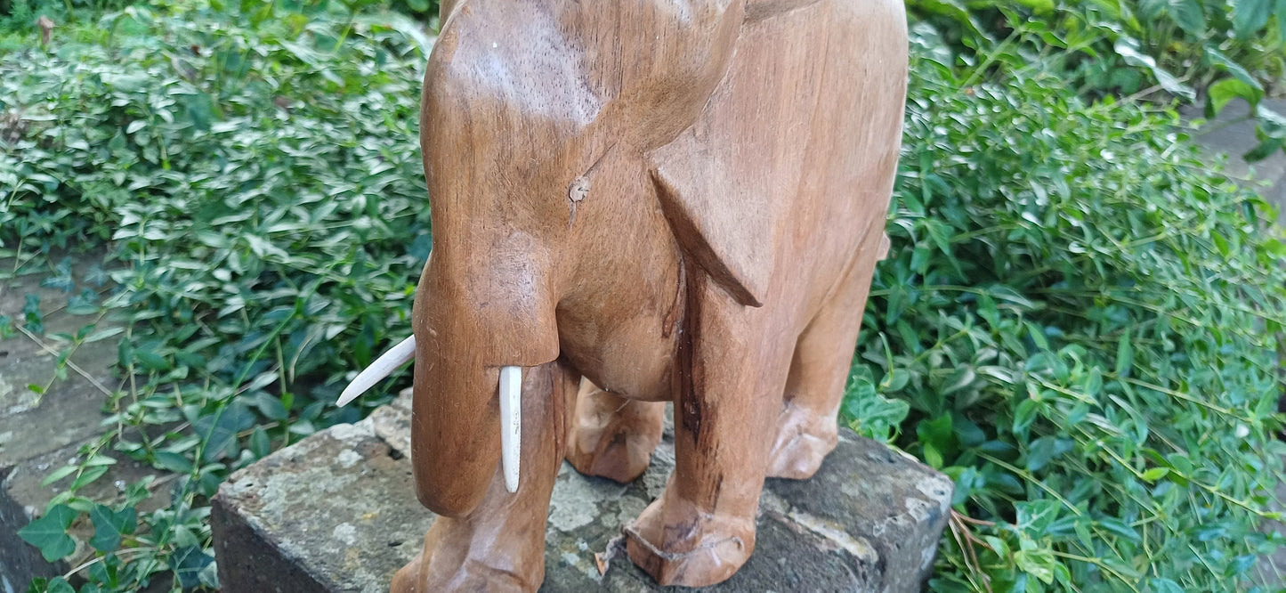 Superb Large Hand Carved Hardwood Elephant with Intact Tusks African Art.