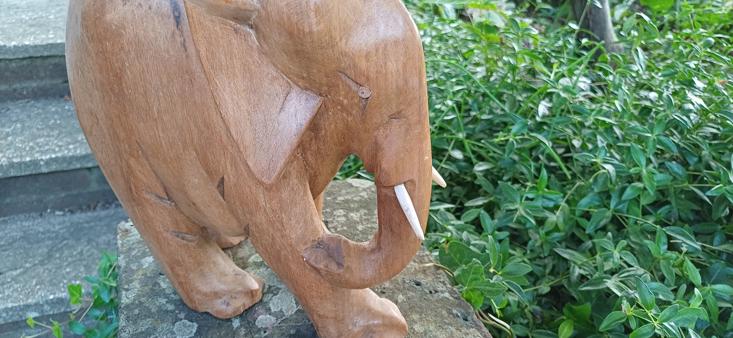 Superb Large Hand Carved Hardwood Elephant with Intact Tusks African Art.