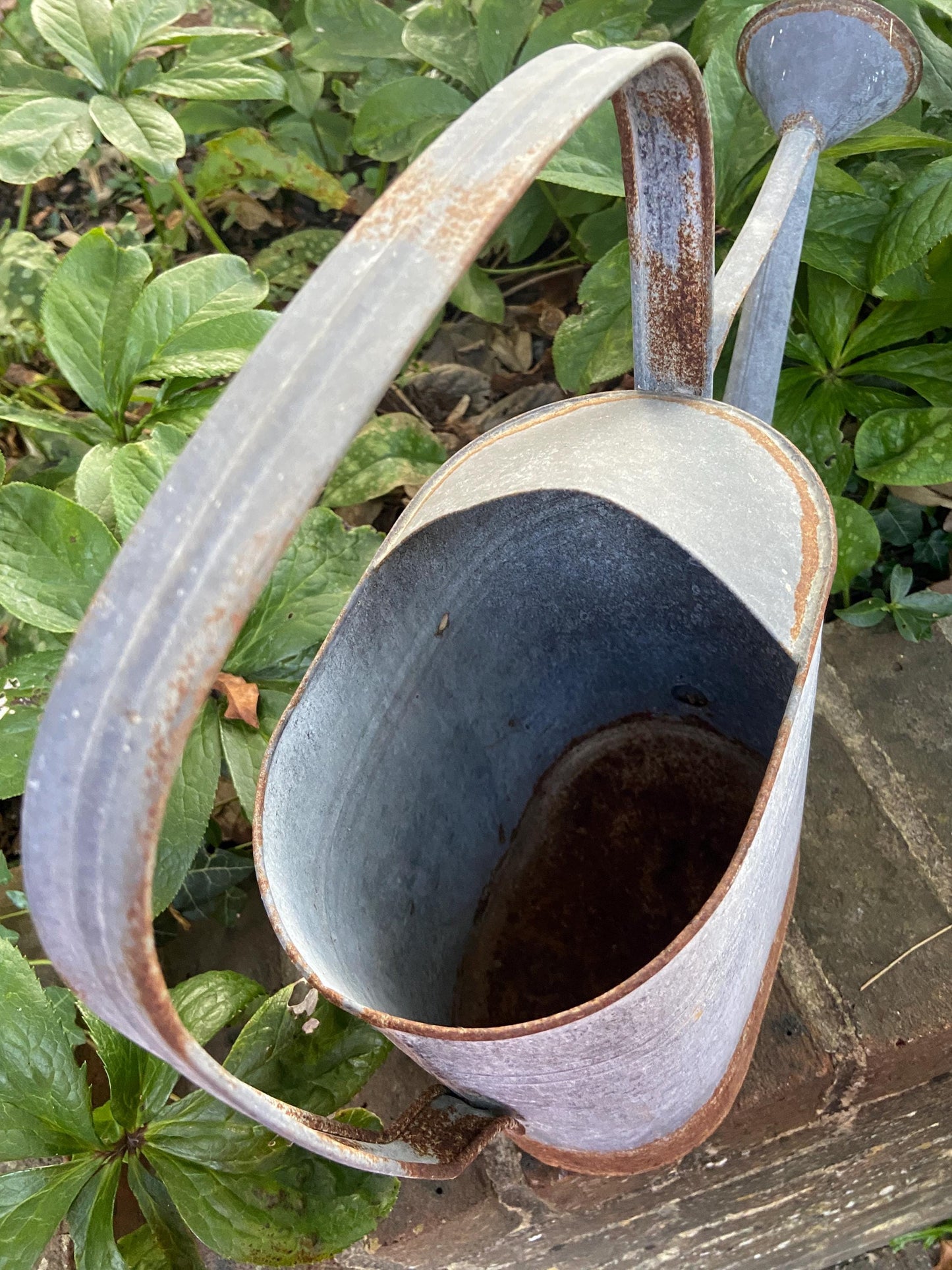 Vintage early 1900s metal watering can with spout and rain shower head