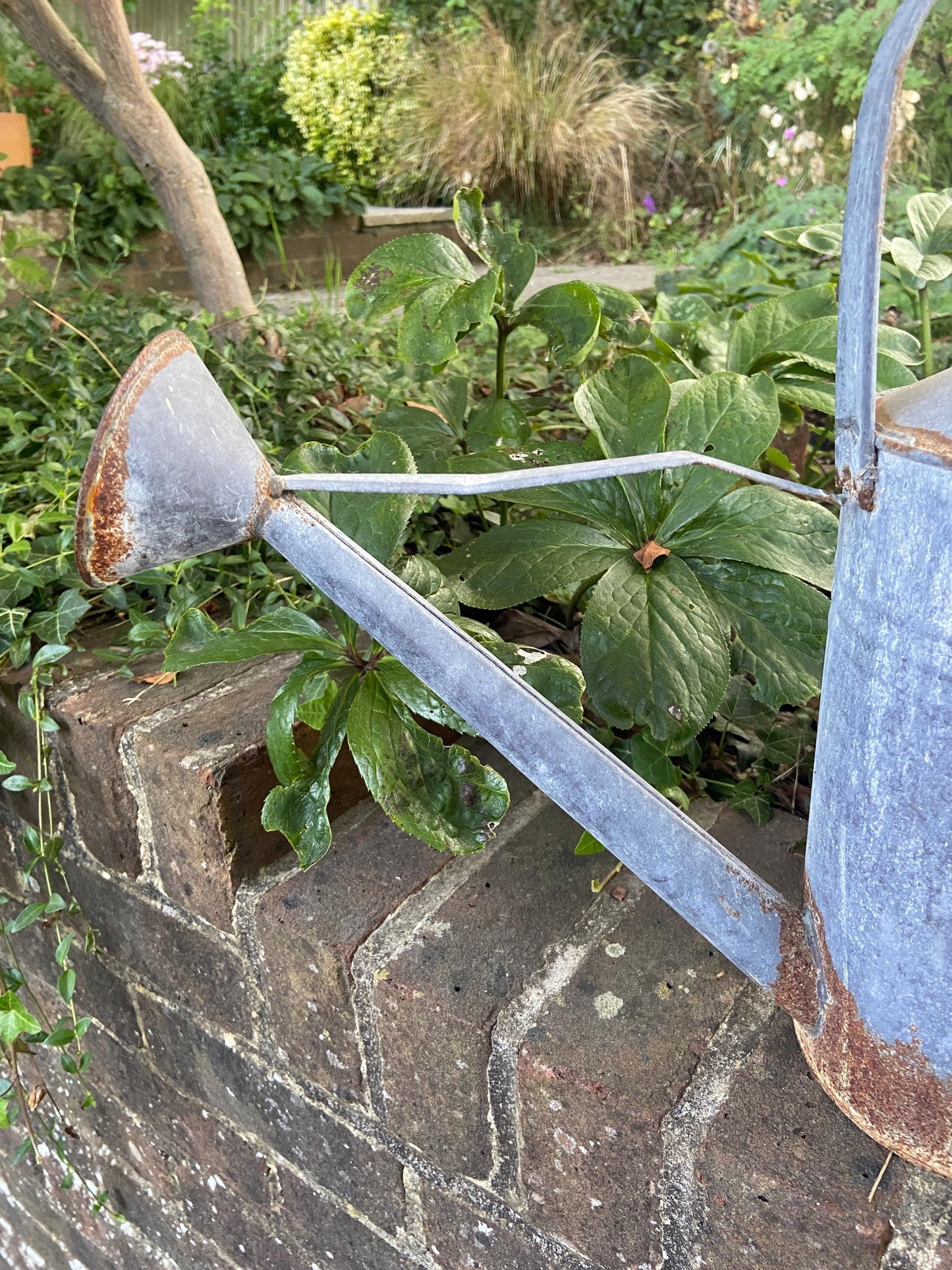 Vintage early 1900s metal watering can with spout and rain shower head