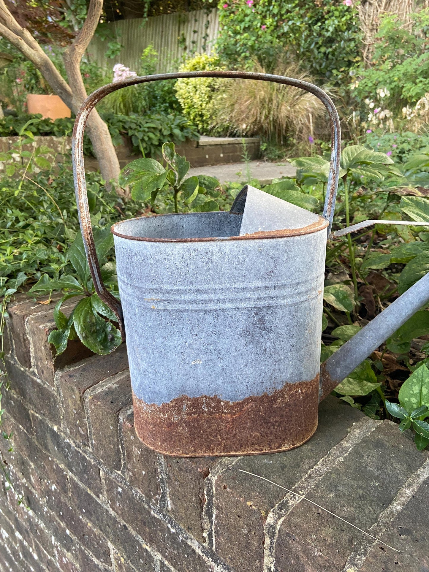 Vintage early 1900s metal watering can with spout and rain shower head