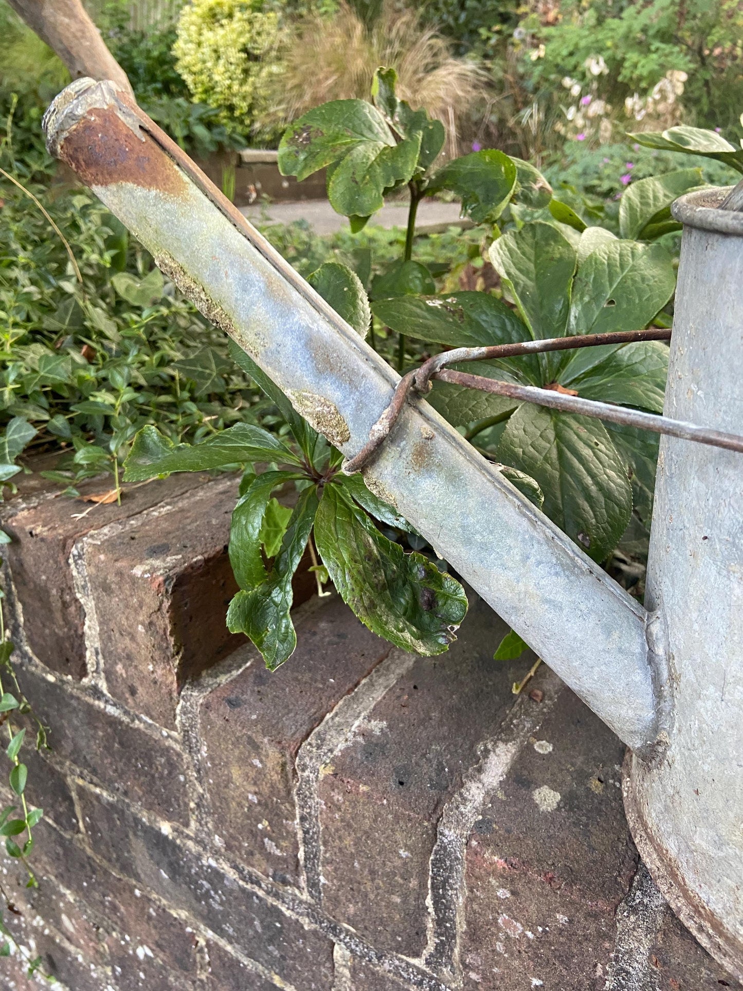 Vintage gardening watering can - vintage water can, vintage gardenware, antique watering can, 2 gallons, early 1900s