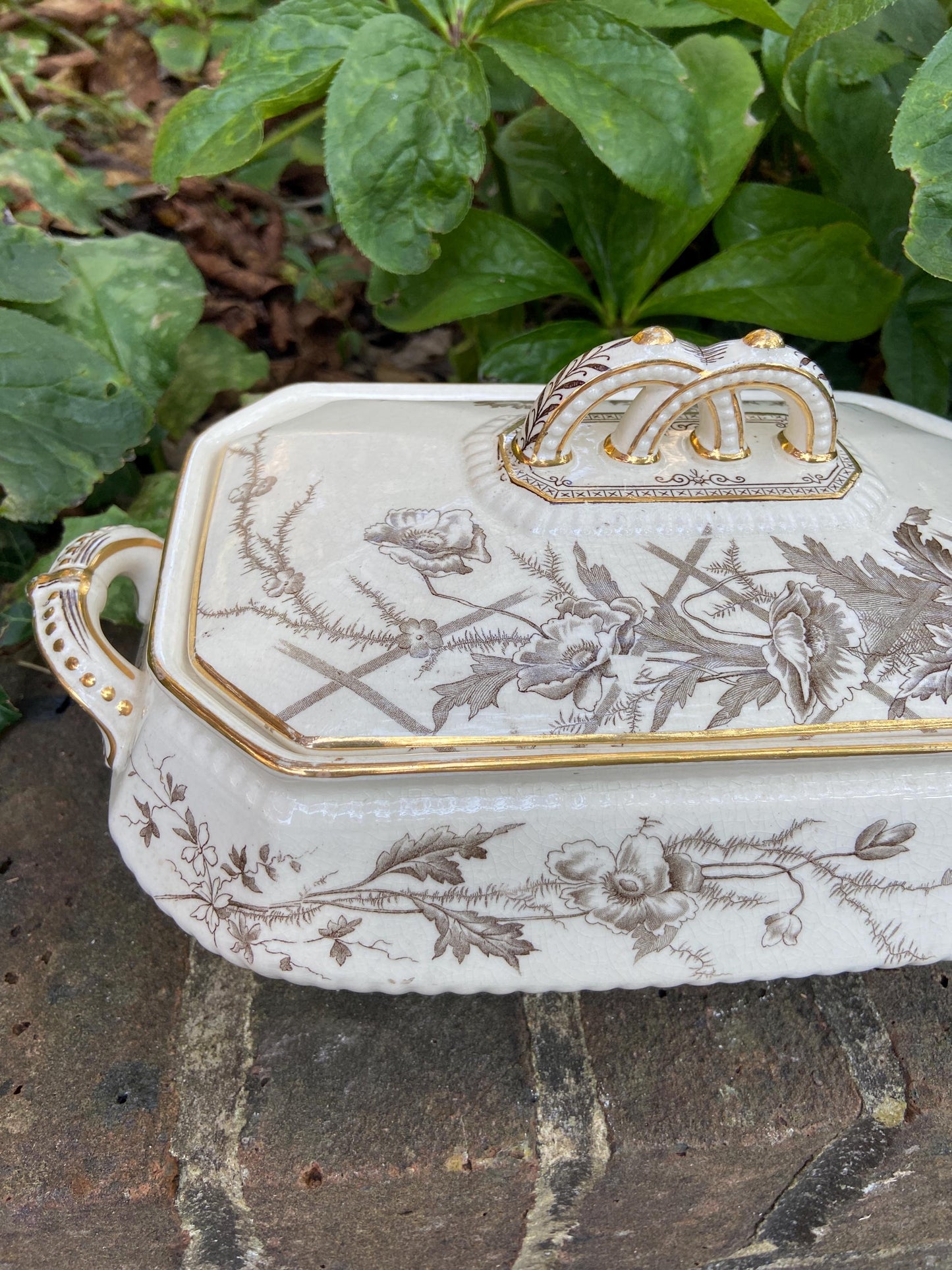 Antique Burgess & Leigh English Ironstone "Poppy" Pattern Platter in Brown Transferware-Vintage 1912-19-Middleport Pottery-Burslem England