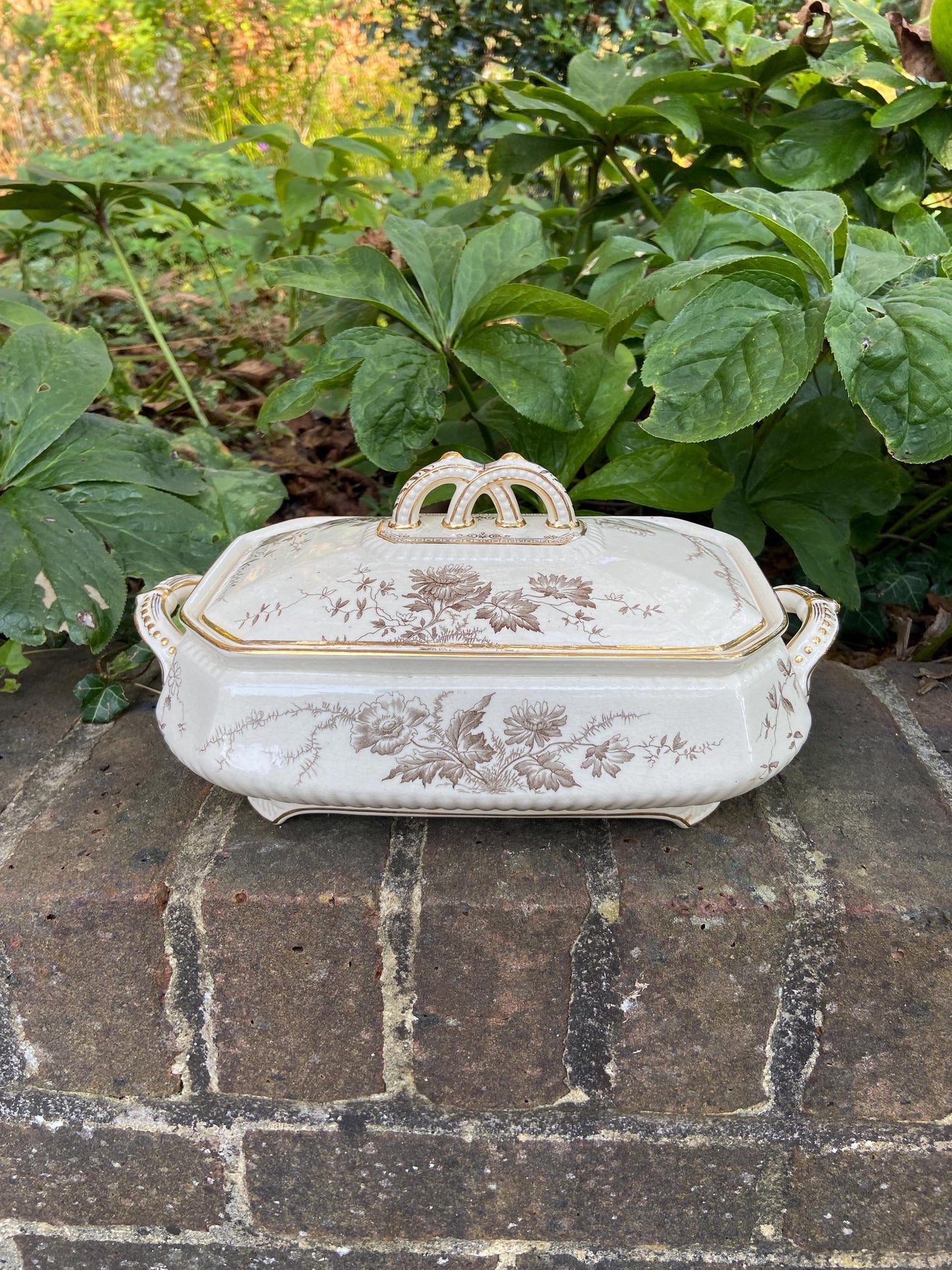 Antique Burgess & Leigh English Ironstone "Poppy" Pattern Platter in Brown Transferware-Vintage 1912-19-Middleport Pottery-Burslem England