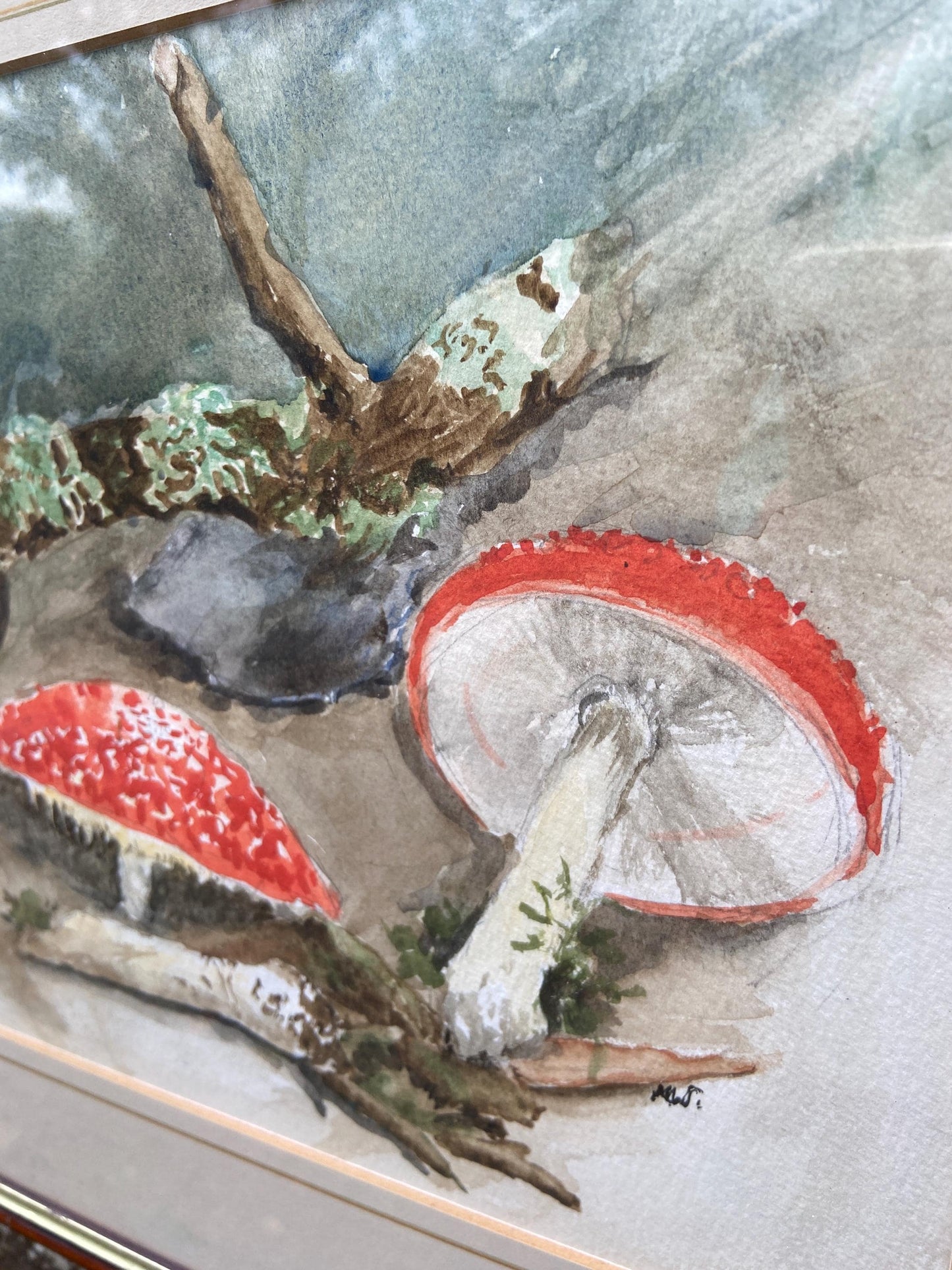 Delightful vintage watercolour painting of mushrooms, toadstools and fungus in the woods - Mary Wilkins framed 37cm x 33cm