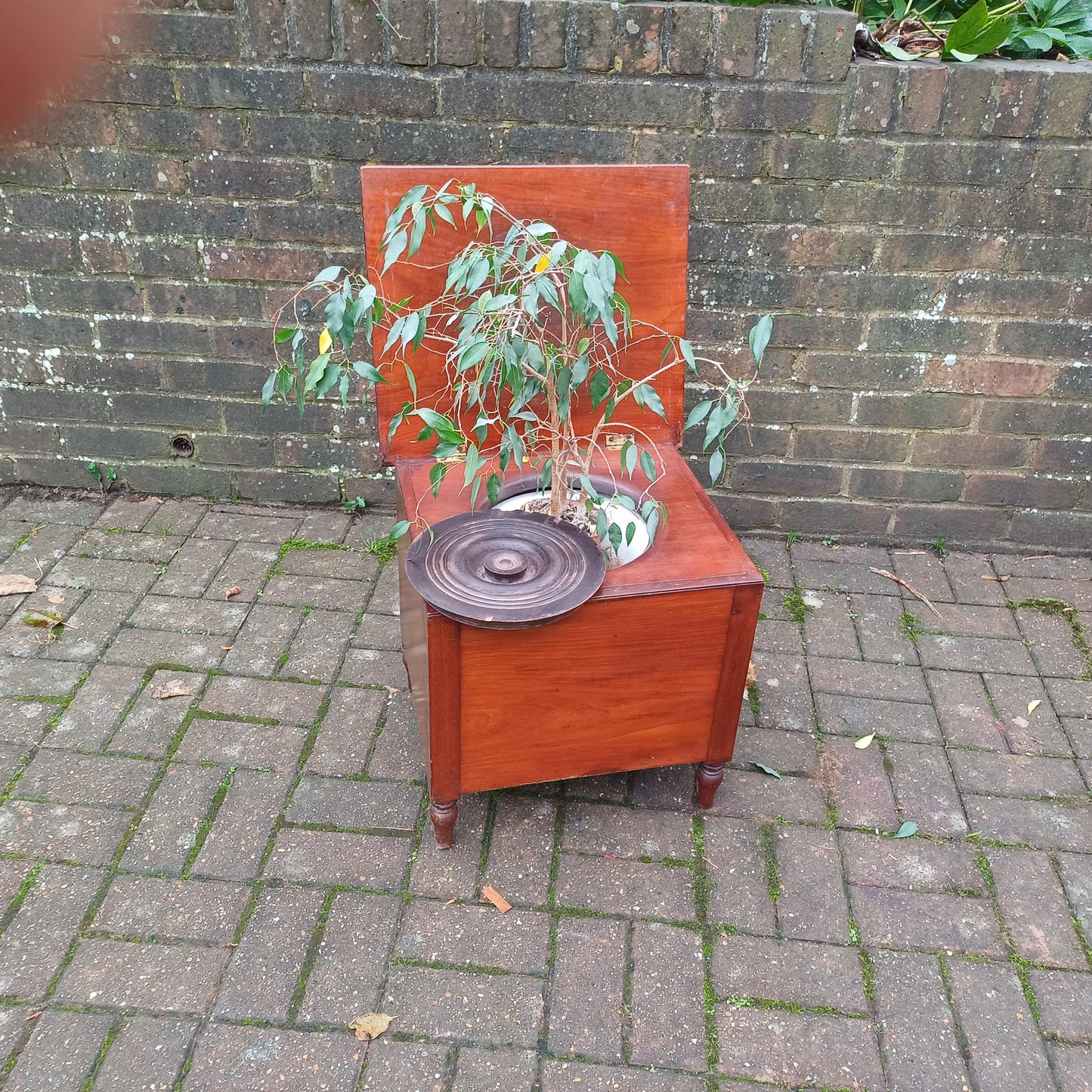 Classic Indoor Planted Victorian Mahogany Commode Quirky Decor!