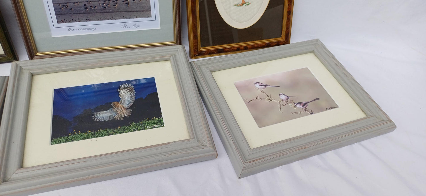 6 Collection of Vintage Pictures Picture Frames Framing Glazed Boarded Backings Frame Photo Artist Upcycling Project. Colin Page. Birds