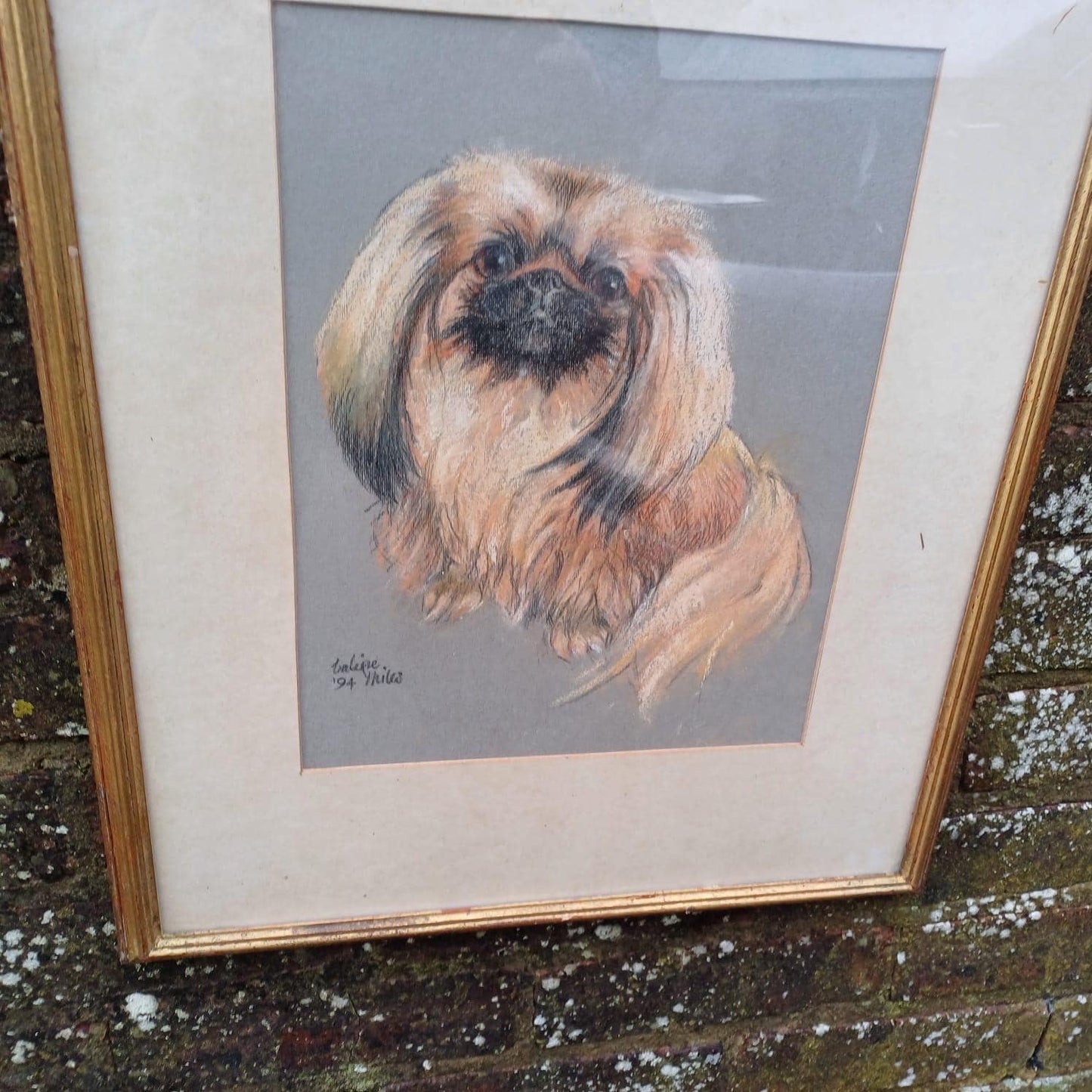 Large Original Pekinese Dog Pastel Picture of My Loyal Friend Glazed Glass Frame 1994, Dog Portrait, Tricki Woo