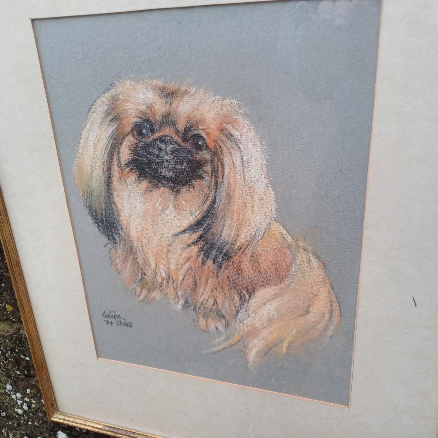 Large Original Pekinese Dog Pastel Picture of My Loyal Friend Glazed Glass Frame 1994, Dog Portrait, Tricki Woo