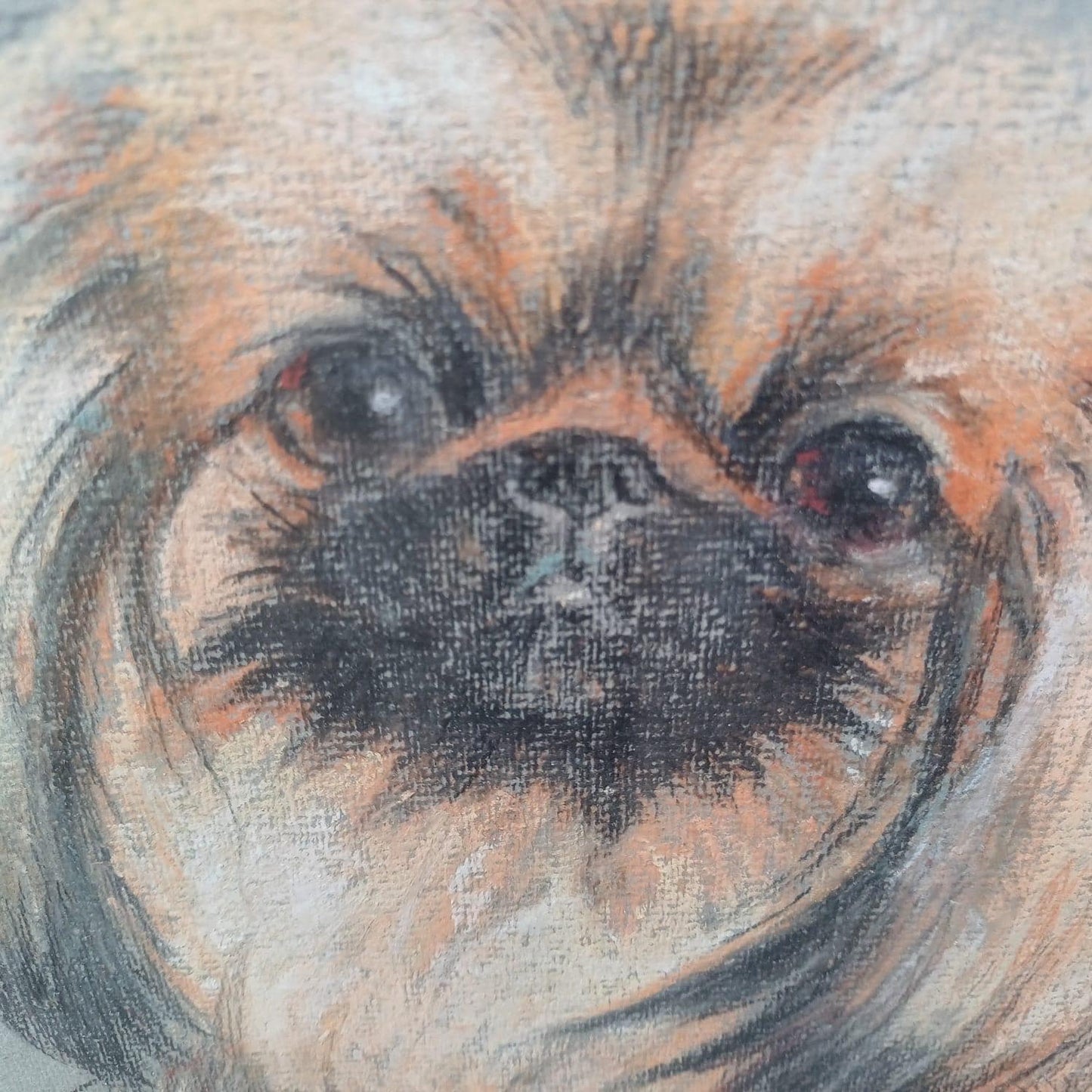 Large Original Pekinese Dog Pastel Picture of My Loyal Friend Glazed Glass Frame 1994, Dog Portrait, Tricki Woo
