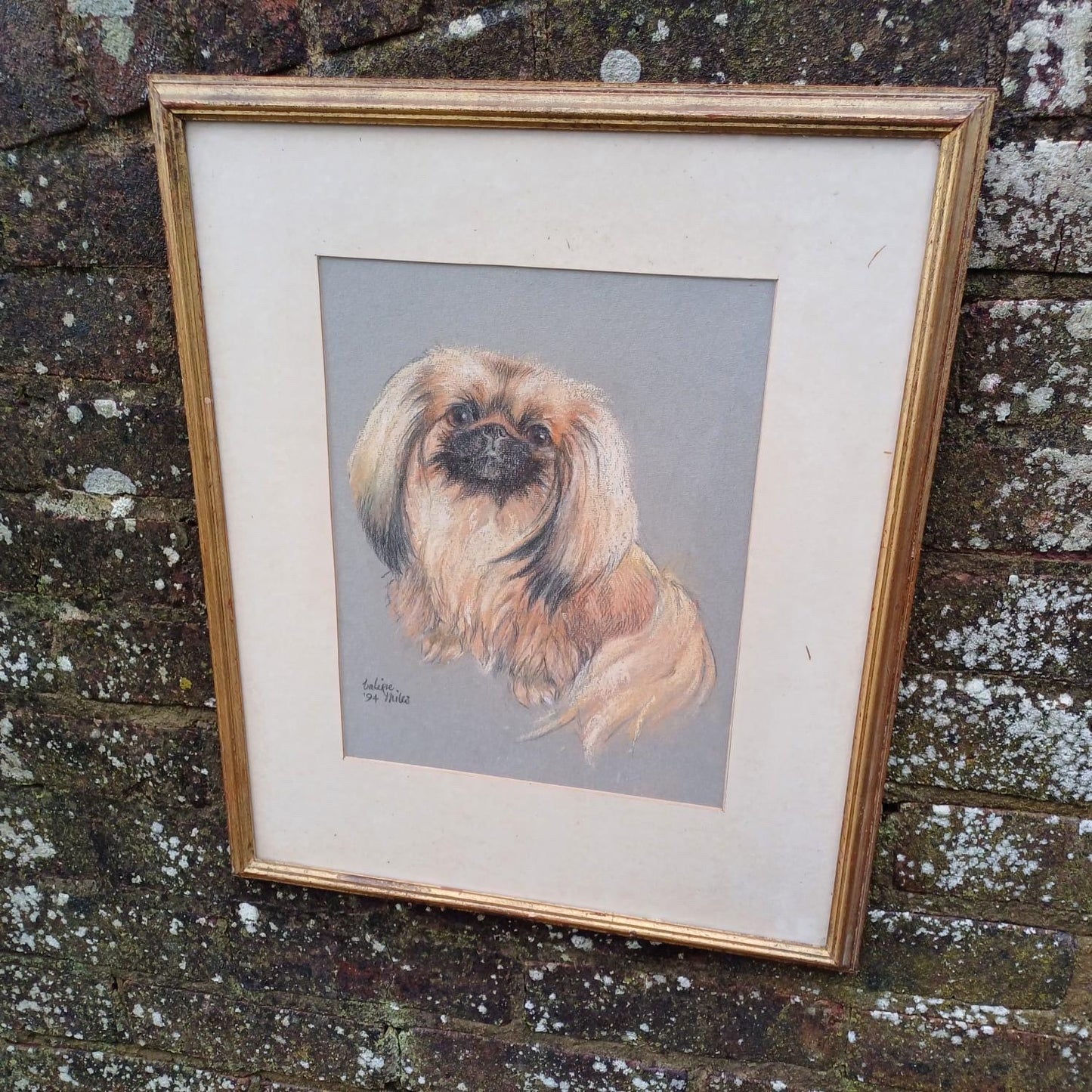 Large Original Pekinese Dog Pastel Picture of My Loyal Friend Glazed Glass Frame 1994, Dog Portrait, Tricki Woo