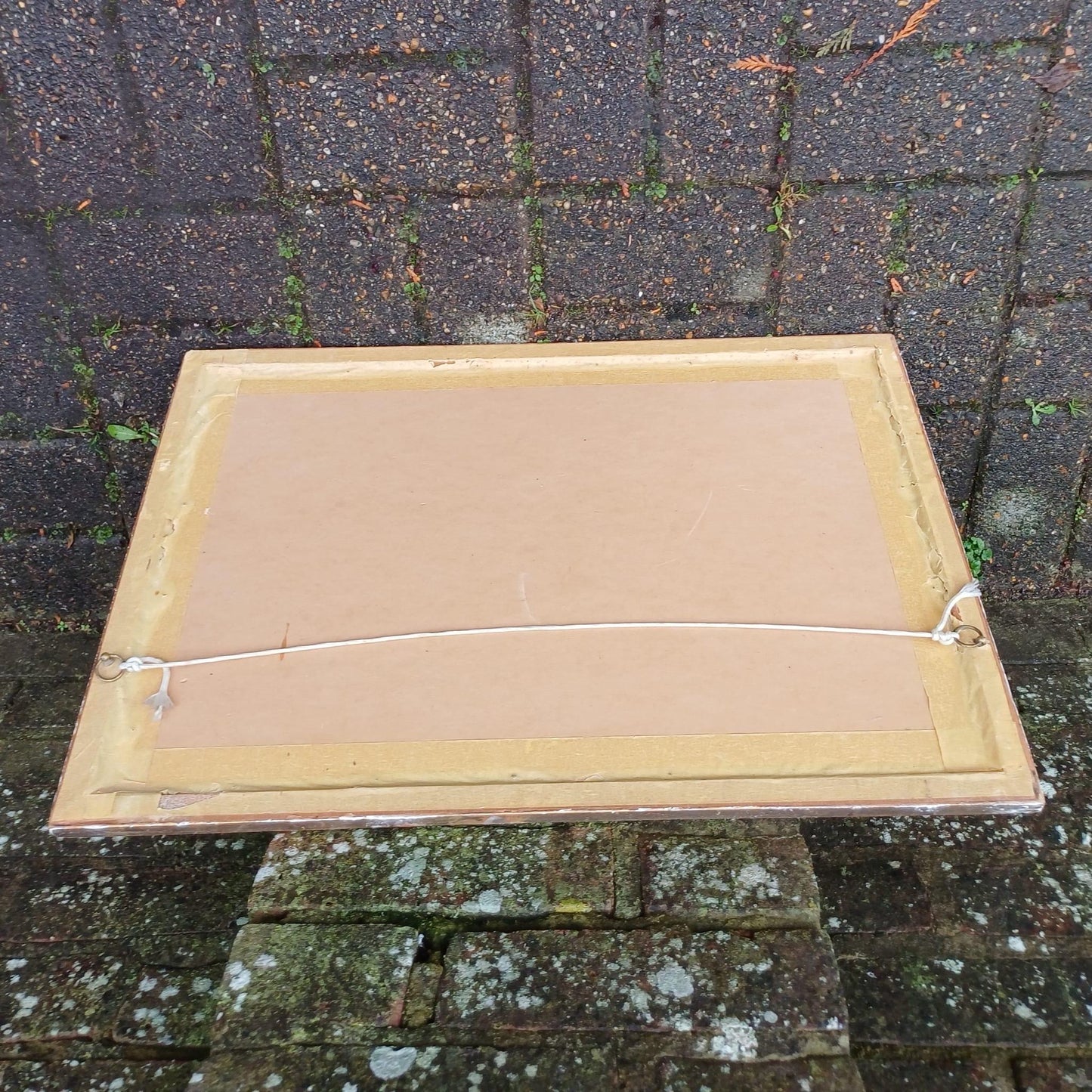 Mid-Century Gilt Vintage Frame with glass, and a vintage water colour painting (61cm x 44cm)