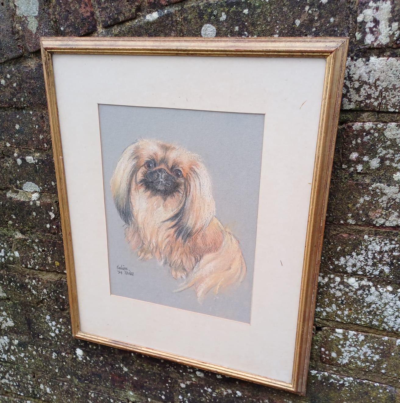 LARGE PASTEL DRAWING OF dog, a pekingese. Loyal Friend. Excellent drawing by