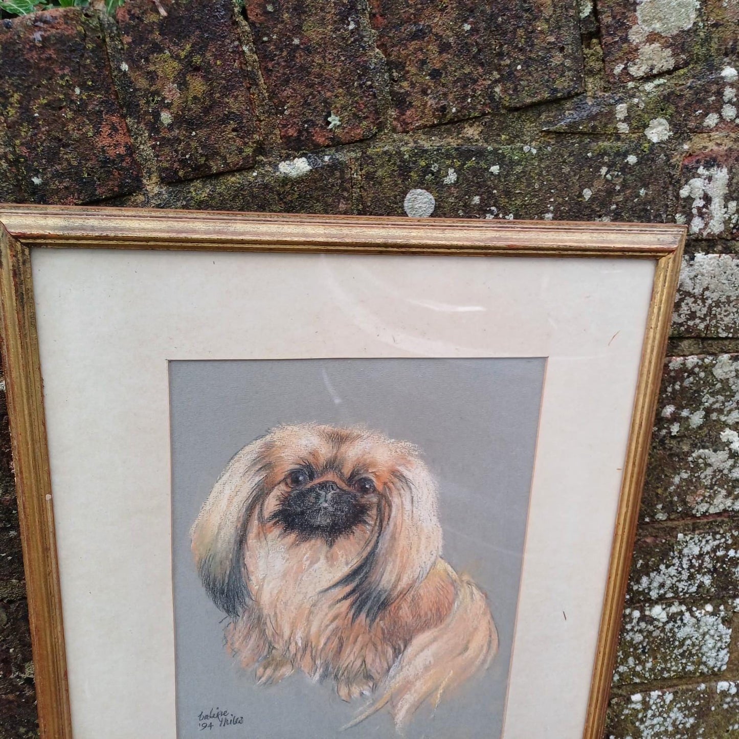 Large Original Pekinese Dog Pastel Picture of My Loyal Friend Glazed Glass Frame 1994, Dog Portrait, Tricki Woo