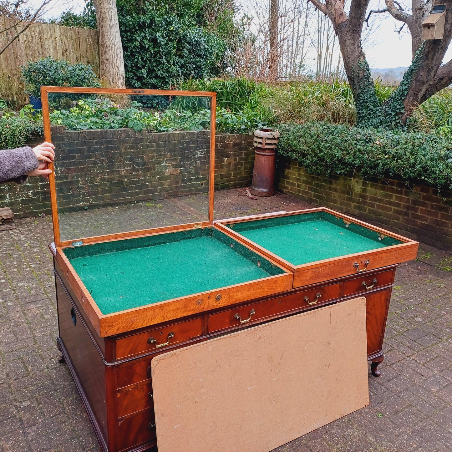Pair of Huge Vintage Late Victorian Oak Glazed Display Cabinets FREE HAND Delivery