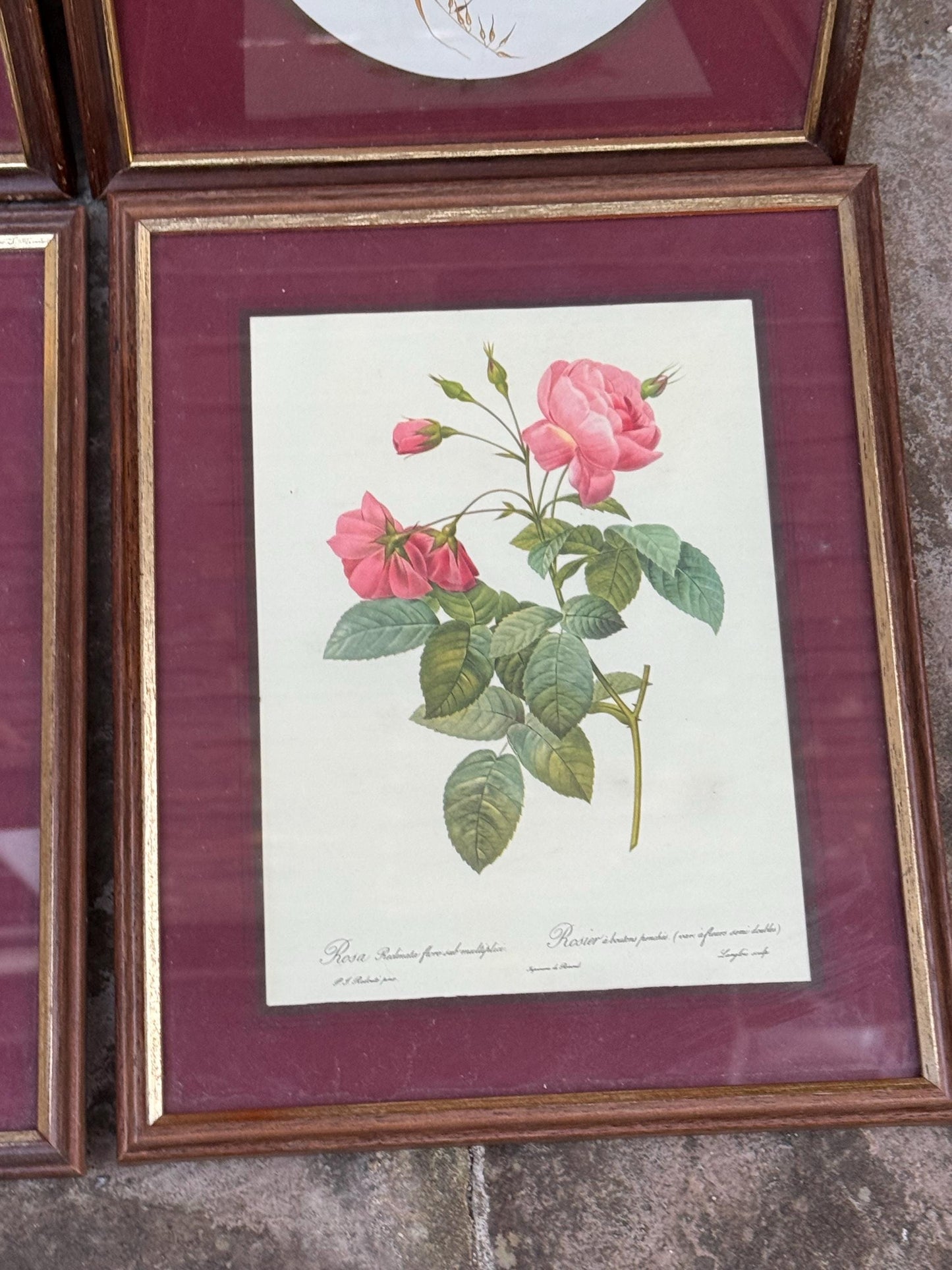 Four matching vintage wooden frames with gilt detail and glazing, small vintage frames, set of four - flower prints, maroon mounts