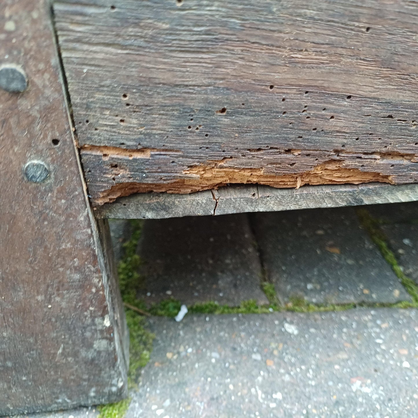 Huge Classic Antique Vintage Old English Oak Mid 19th Century Oak Trunk or Coffer FREE HAND Delivery