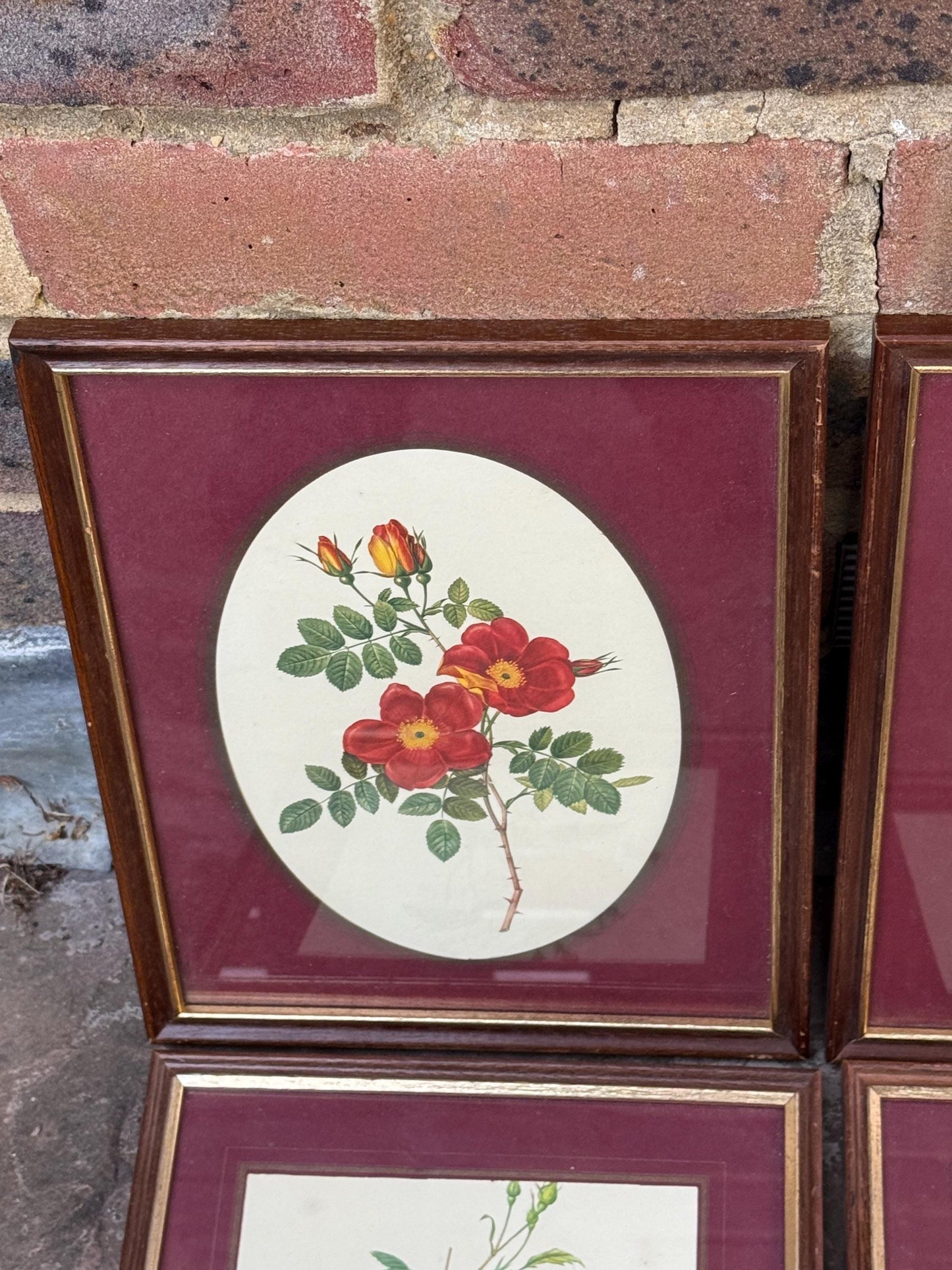 Four matching vintage wooden frames with gilt detail and glazing, small vintage frames, set of four - flower prints, maroon mounts