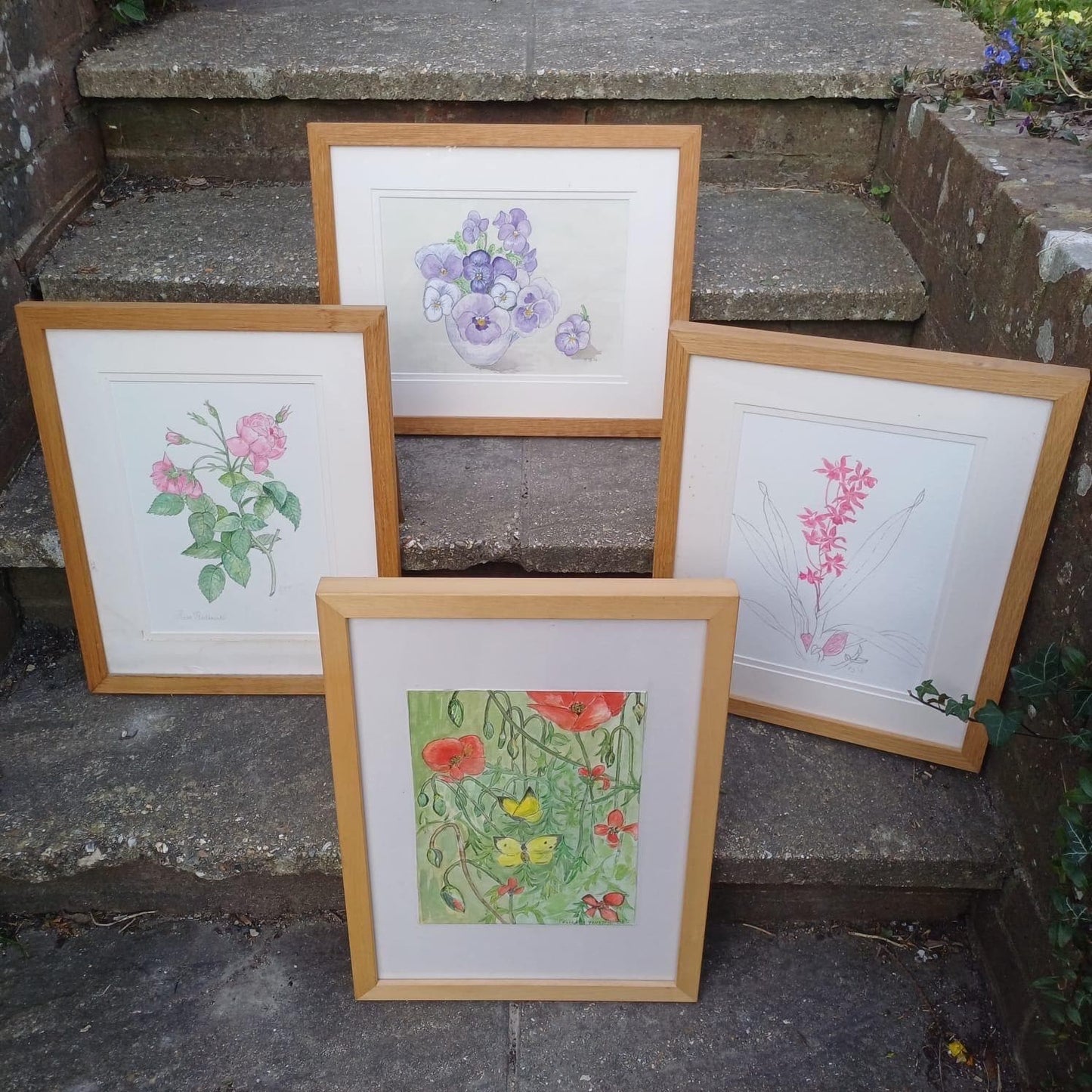 Four Vintage Frames in a light coloured wood with water colour paintings by Felicity Youlten