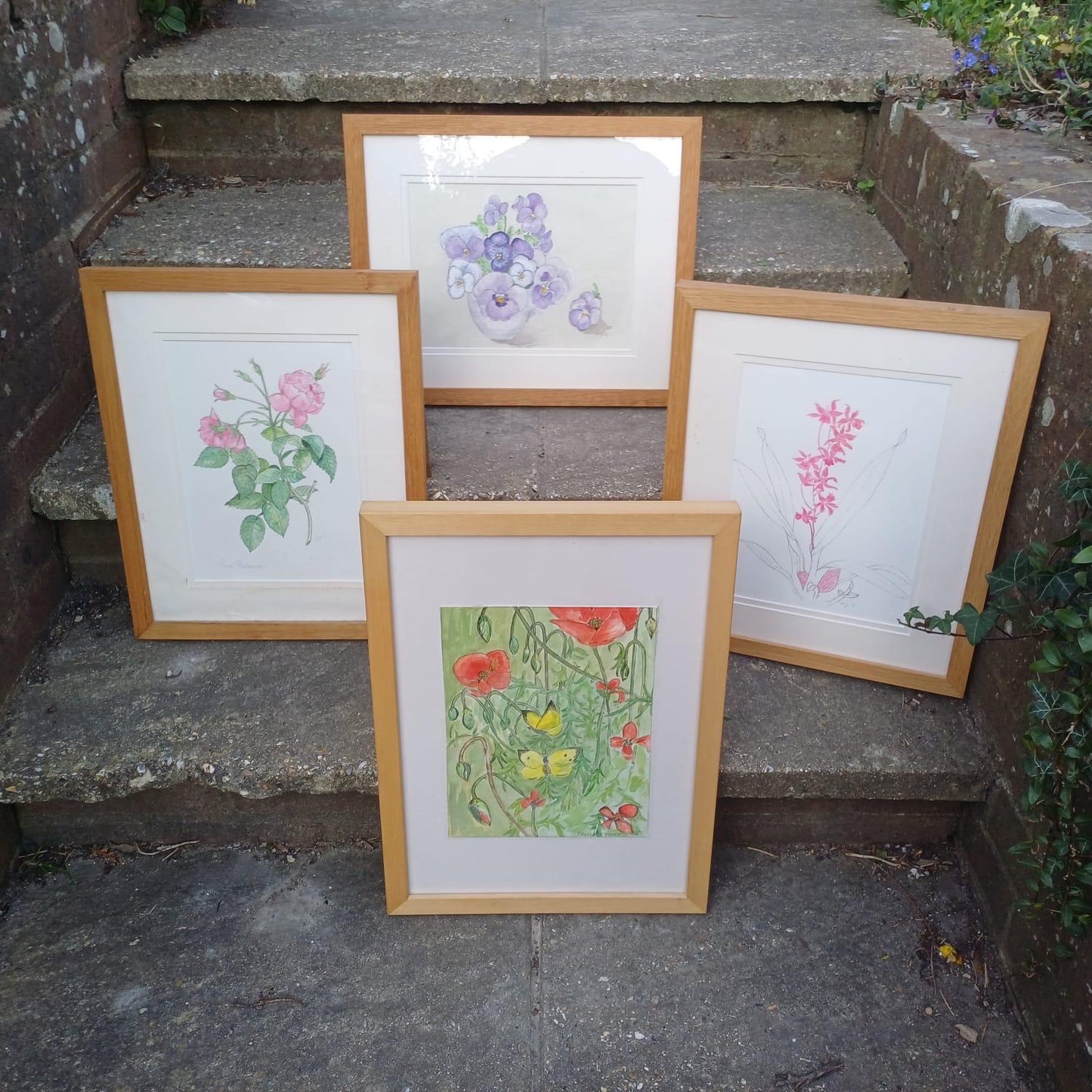 Four Vintage Frames in a light coloured wood with water colour paintings by Felicity Youlten