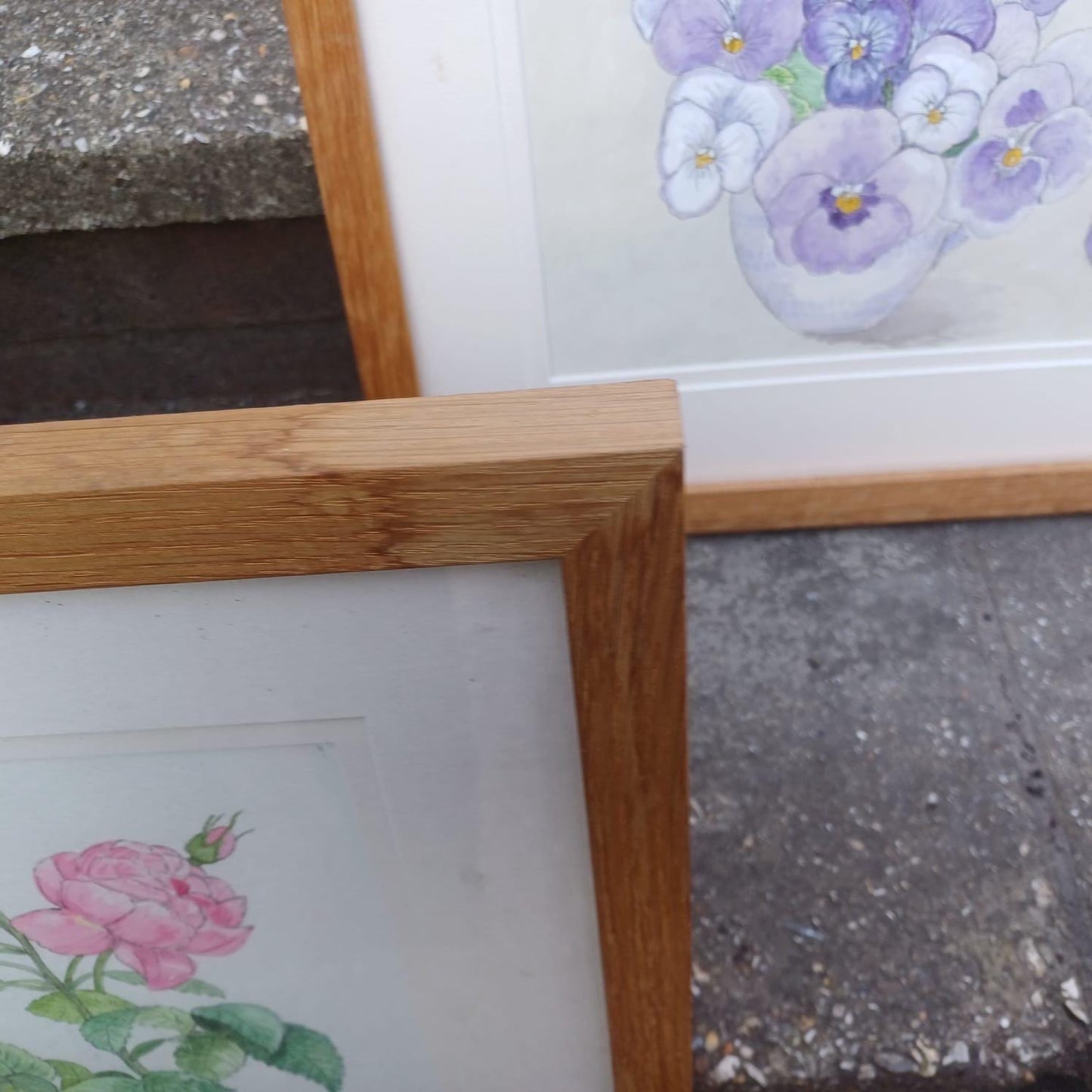 Four Vintage Frames in a light coloured wood with water colour paintings by Felicity Youlten