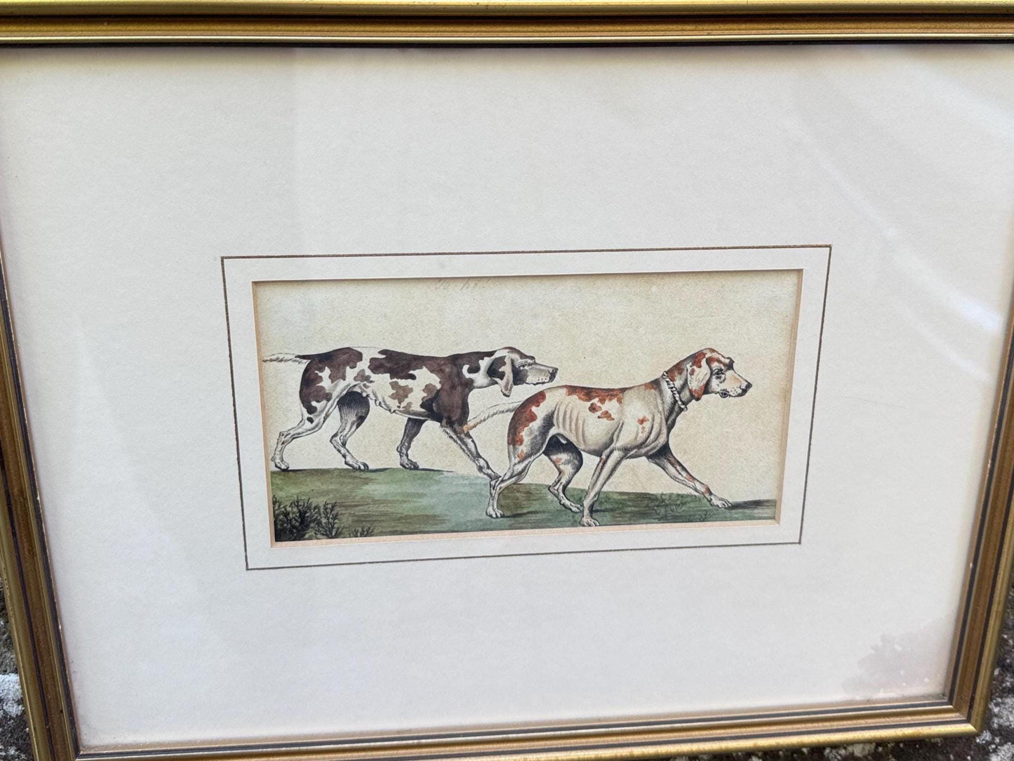 excellent illustration of English Foxhounds, British sporting dogs, hunting dogs, hunting hounds. Gorgeous animals walking.