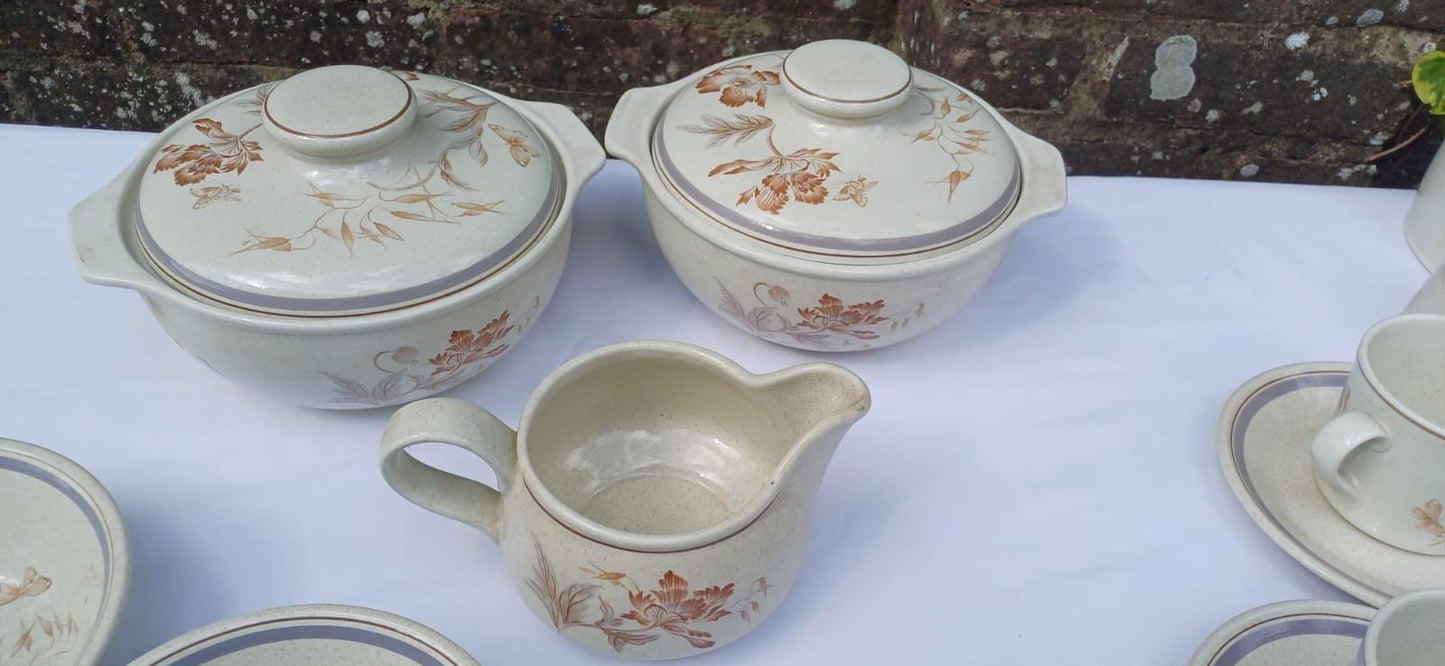 Rare Vintage Royal Albert Summer Fantasy Country Garden Stoneware Dinner Set – min 6 place set, Floral & Butterfly Retro - 44 pieces