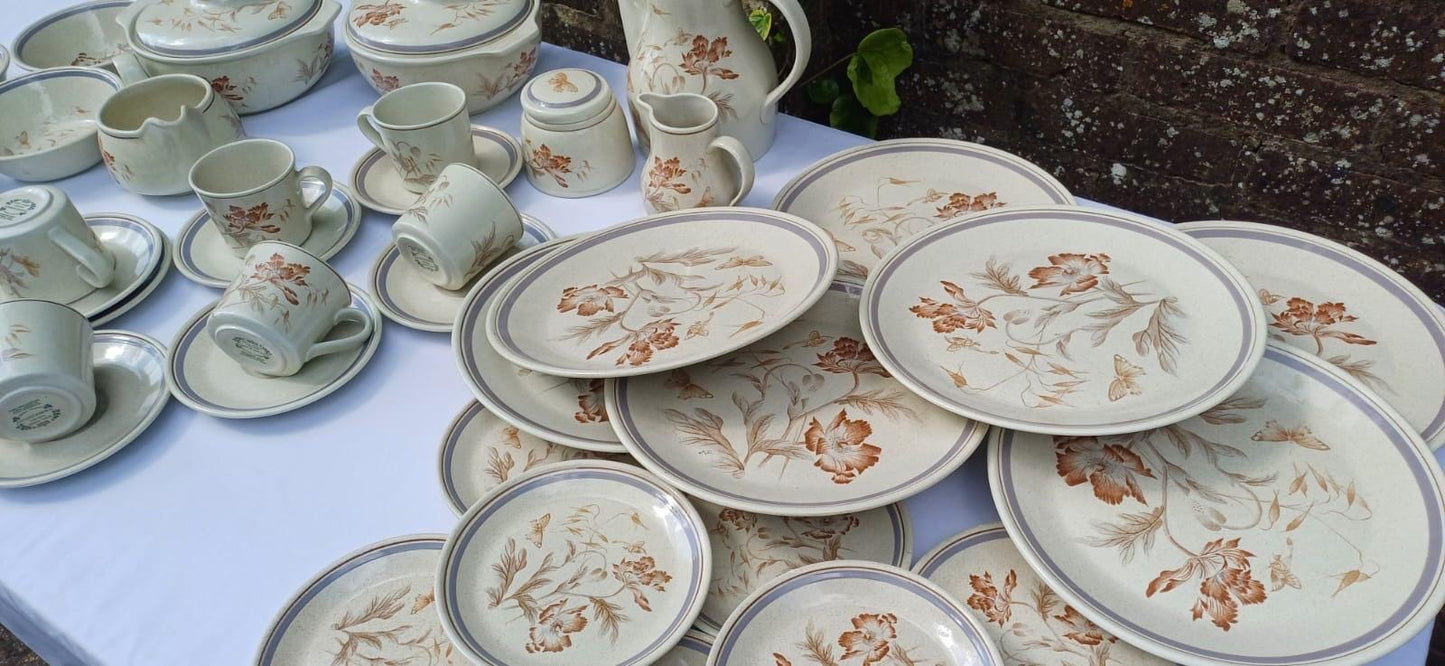 Rare Vintage Royal Albert Summer Fantasy Country Garden Stoneware Dinner Set – min 6 place set, Floral & Butterfly Retro - 44 pieces