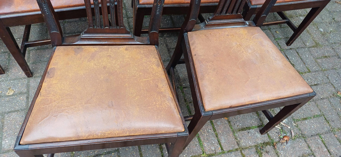 Set of 6 Antique Edwardian Dining Chairs Carved Backs and Original Leather Seats Mahogany c.1900 Arts & Crafts Revival FREE HAND Delivery