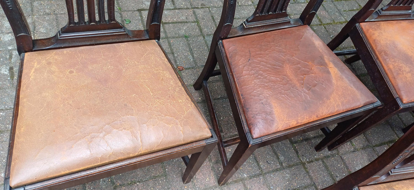 Set of 6 Antique Edwardian Dining Chairs Carved Backs and Original Leather Seats Mahogany c.1900 Arts & Crafts Revival FREE HAND Delivery