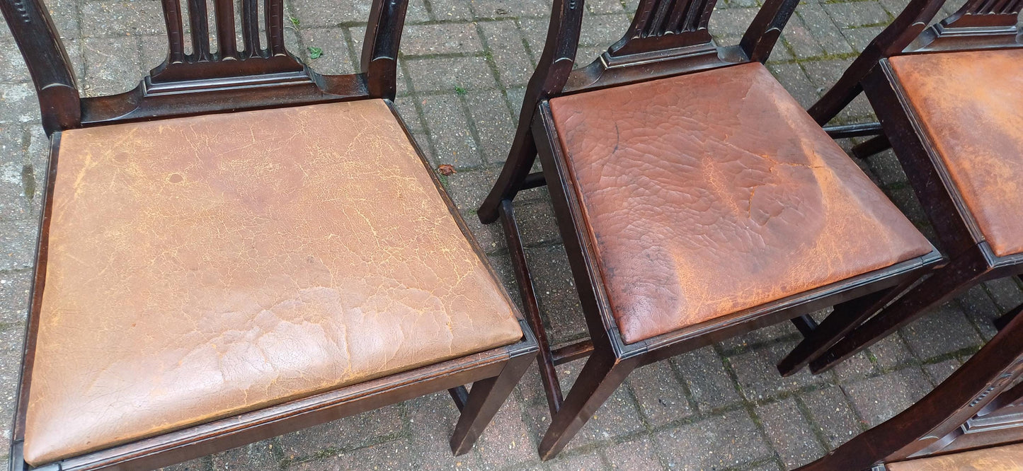 Set of 6 Antique Edwardian Dining Chairs Carved Backs and Original Leather Seats Mahogany c.1900 Arts & Crafts Revival FREE HAND Delivery