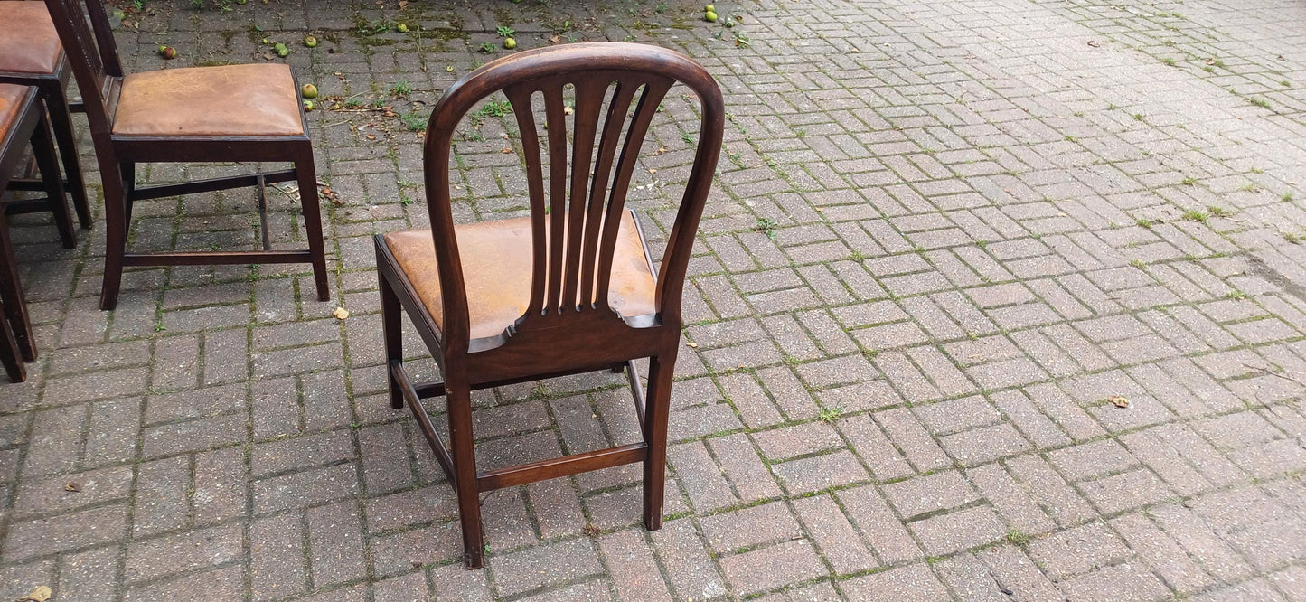 Set of 6 Antique Edwardian Dining Chairs Carved Backs and Original Leather Seats Mahogany c.1900 Arts & Crafts Revival FREE HAND Delivery