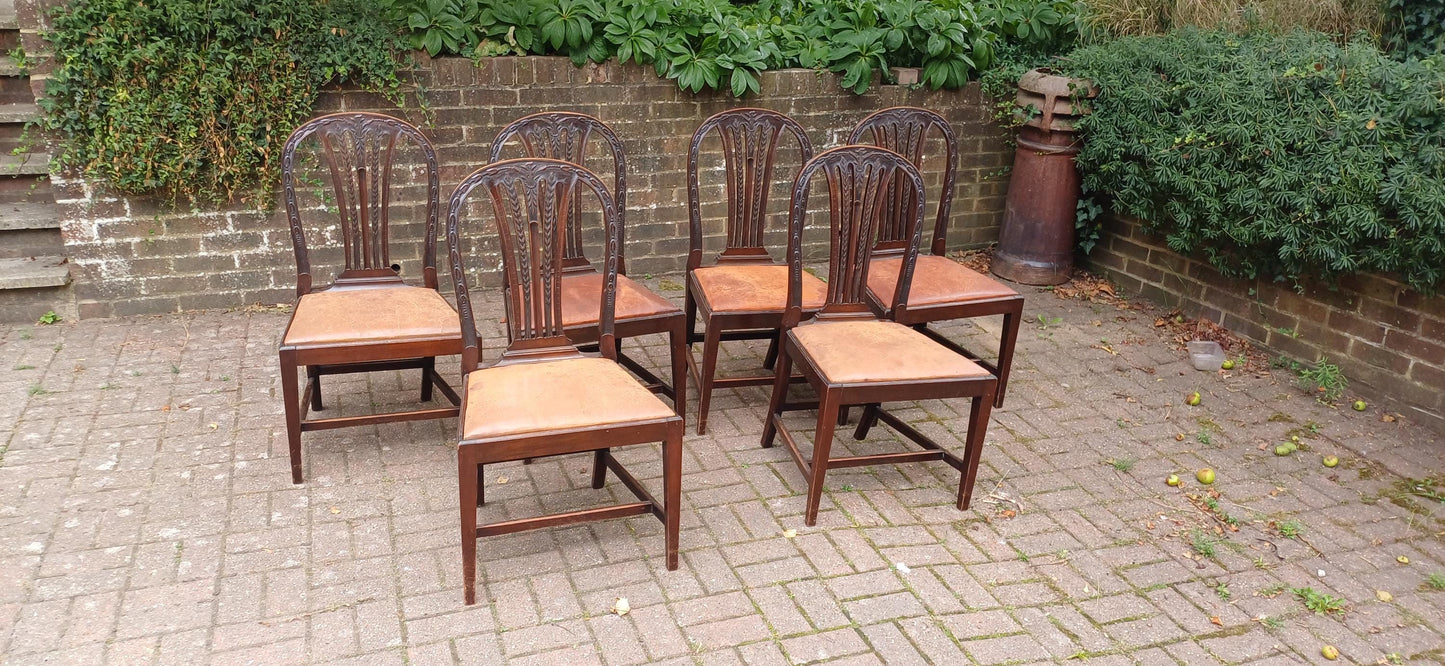Set of 6 Antique Edwardian Dining Chairs Carved Backs and Original Leather Seats Mahogany c.1900 Arts & Crafts Revival FREE HAND Delivery