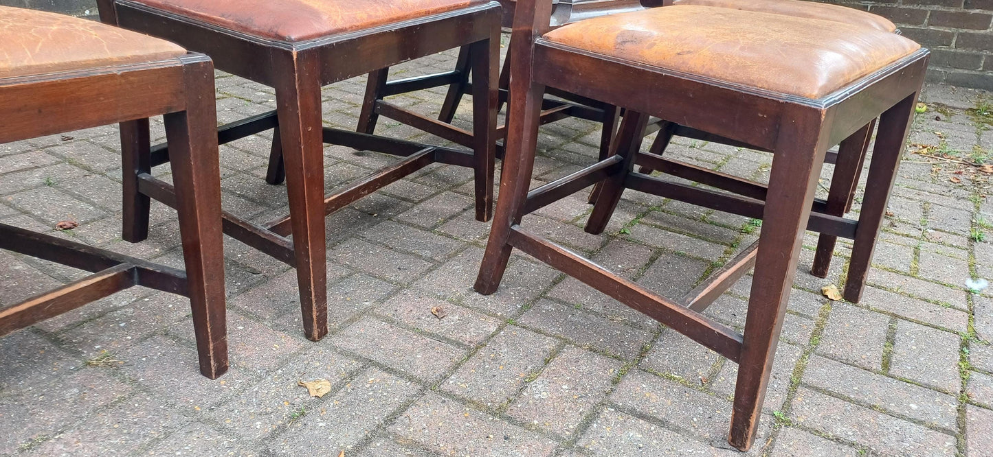 Set of 6 Antique Edwardian Dining Chairs Carved Backs and Original Leather Seats Mahogany c.1900 Arts & Crafts Revival FREE HAND Delivery