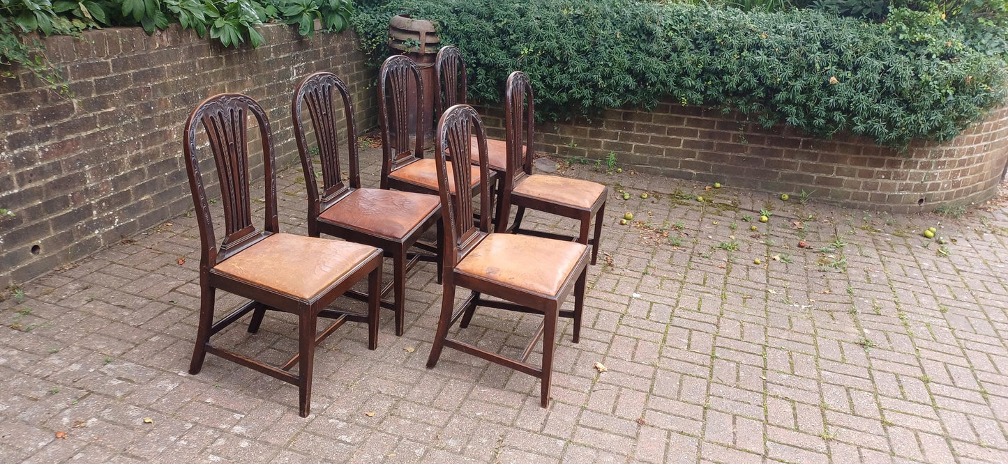 Set of 6 Antique Edwardian Dining Chairs Carved Backs and Original Leather Seats Mahogany c.1900 Arts & Crafts Revival FREE HAND Delivery