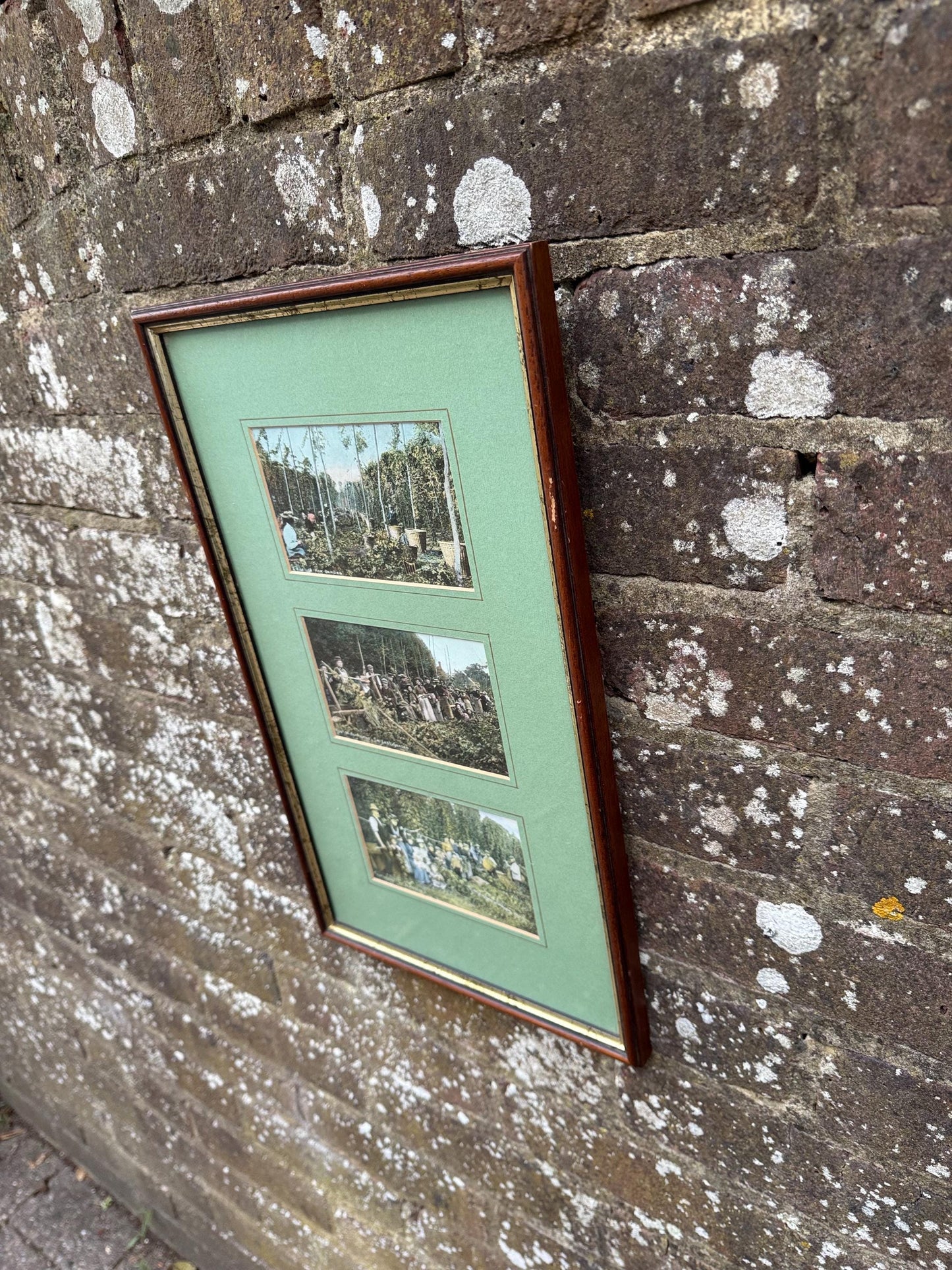 Antique Edwardian Hop Picking - Kent Series - Invicta - hand tinted postcards with original stamps, Kent memorabilia, incl Italian address