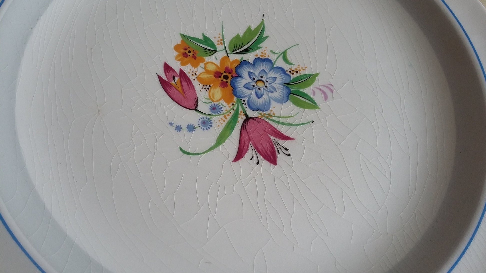 Vintage Part Retro Dinner Service Midwinter Stylecraft