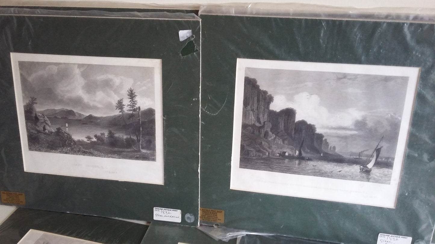 12 Vintage North American Prints Architecture Buildings Lake River Water Bridge Engravings Colour incl New York Philadelphia