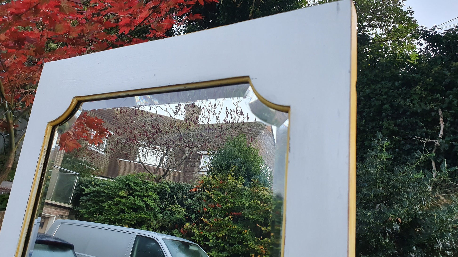 Massive Full Length Mirror Huge Bespoke Converted Edwardian Wardrobe Door Farrow and Ball Gold Highlights