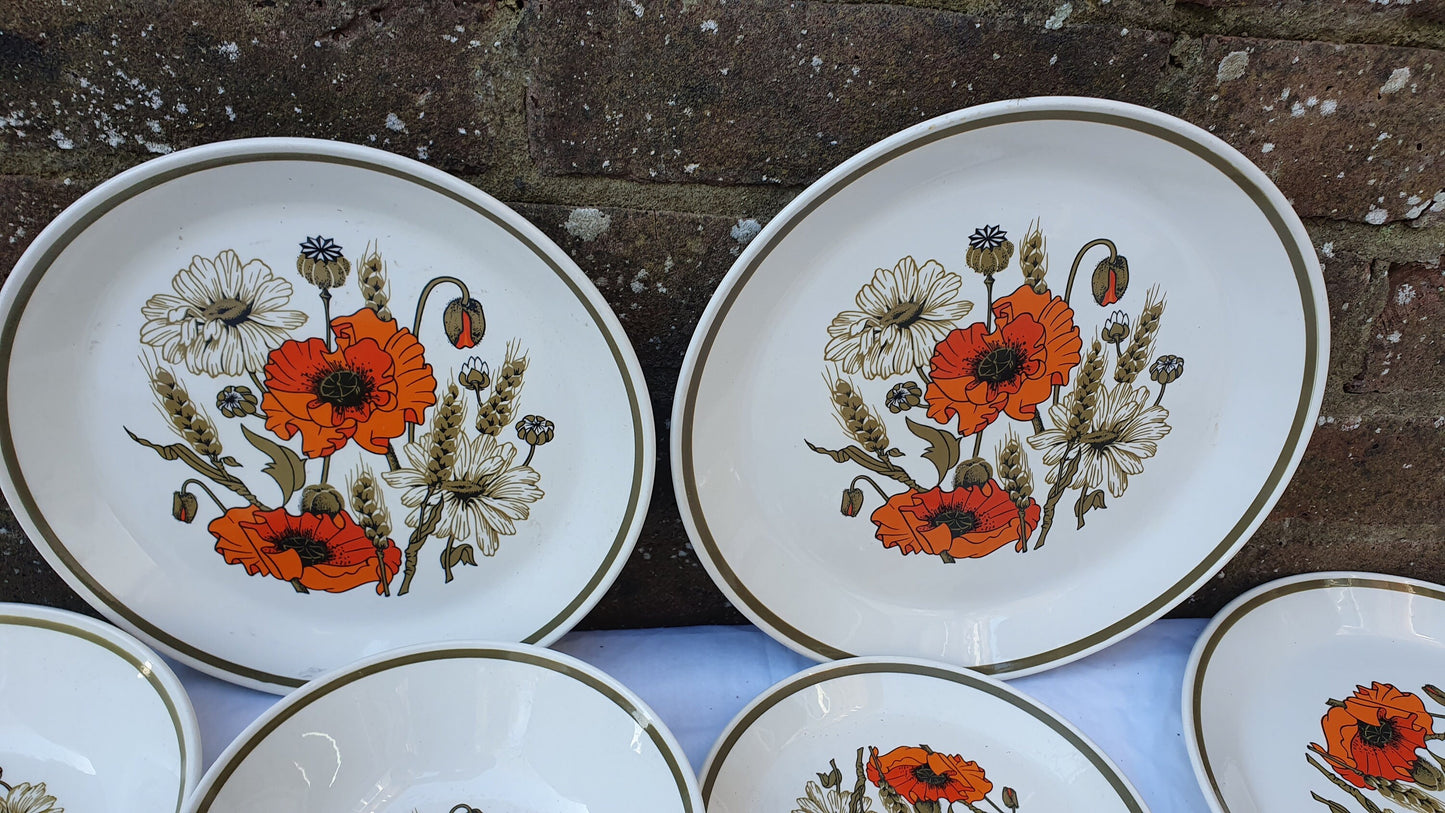 Various Vintage Retro Johnson Brothers Poppies Dinnerware Plates Excellent Condition