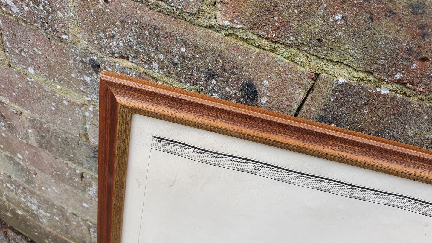 Original 1825 Large Antique Map East Sussex Kent Border Georgian Historical Framed History 78 x 71 cm