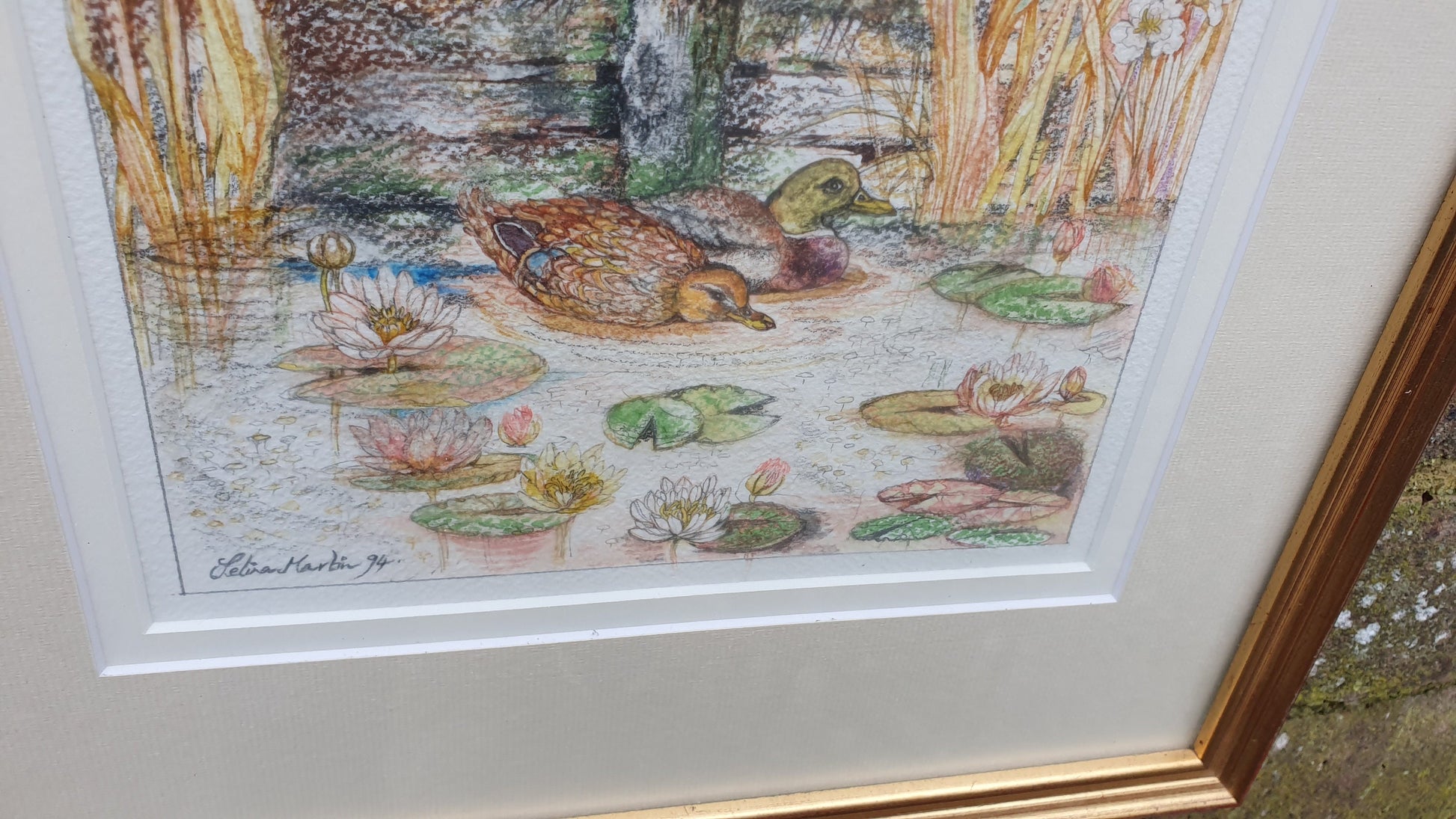 Delightful Ducks on a Pond Illustration Signed Vintage Original Artwork British Wildlife Flowers Framed