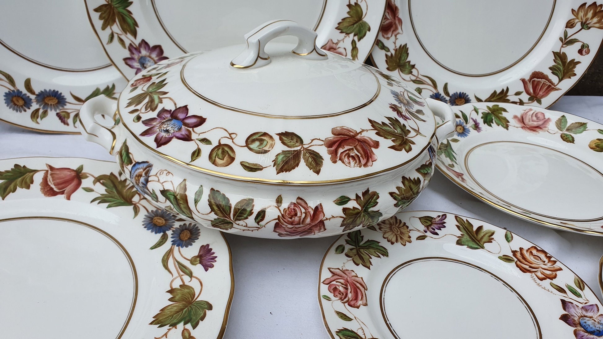 Vintage Part Dinner Service Royal Worcester Virginia