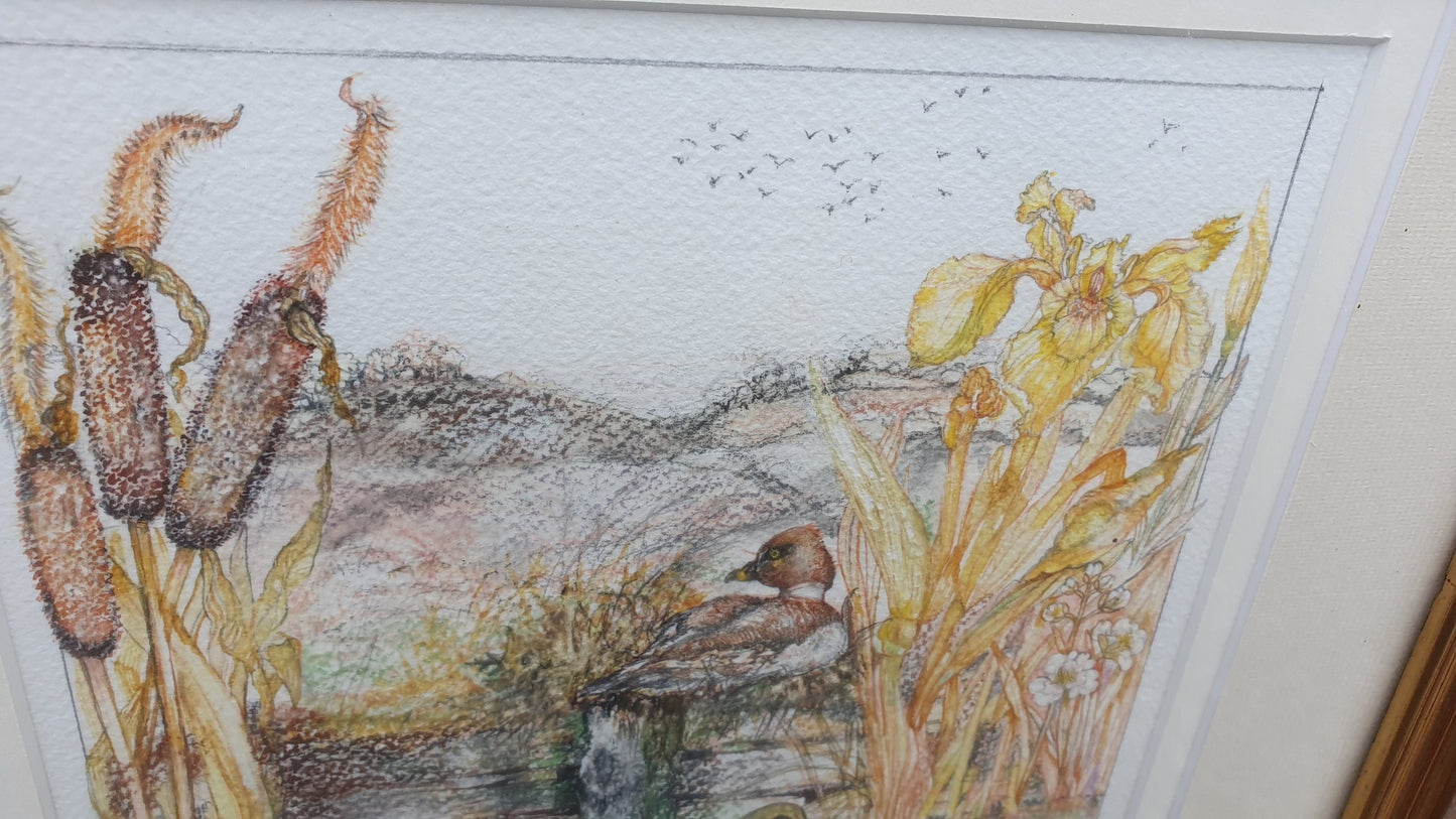 Delightful Ducks on a Pond Illustration Signed Vintage Original Artwork British Wildlife Flowers Framed