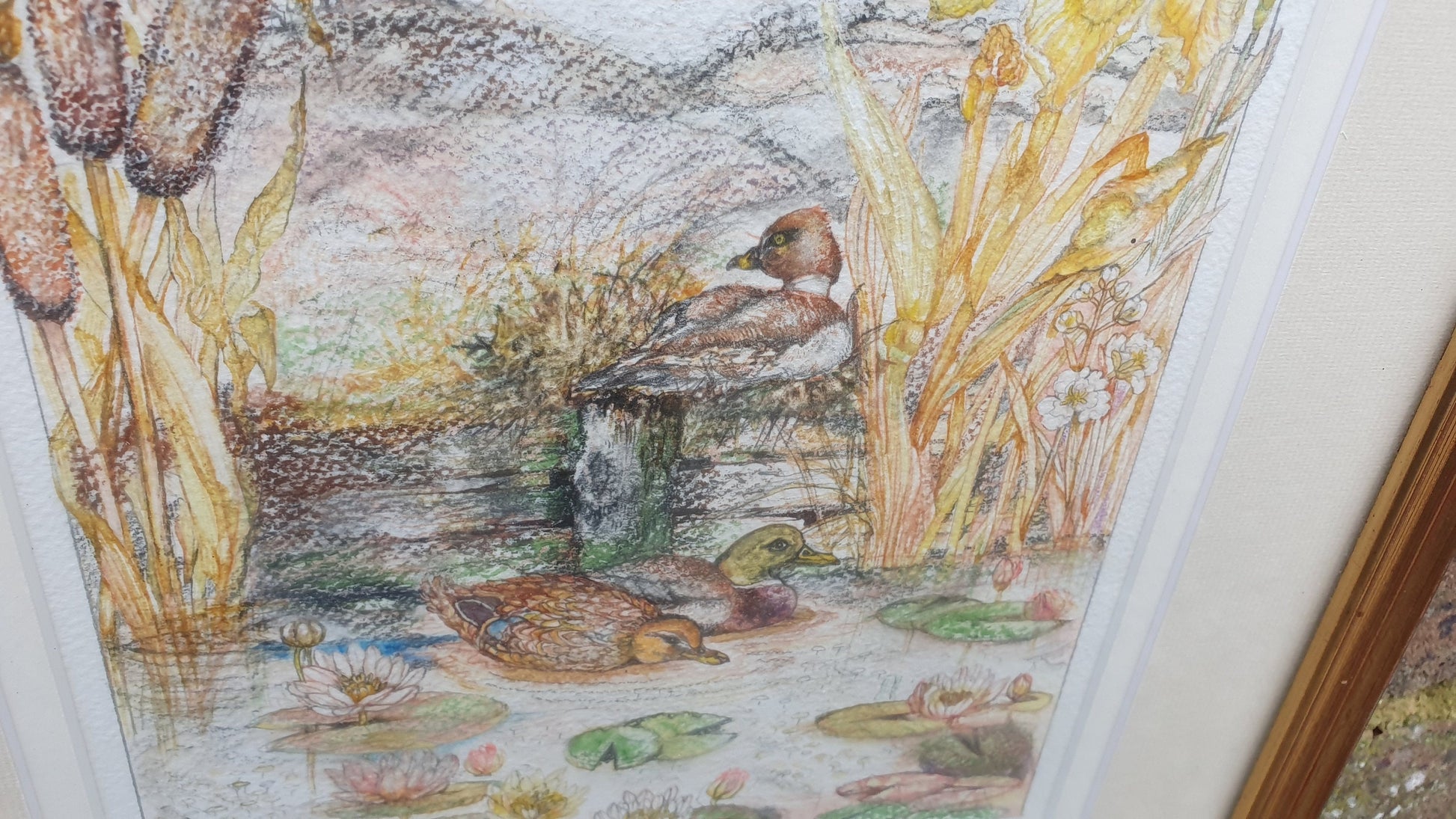 Delightful Ducks on a Pond Illustration Signed Vintage Original Artwork British Wildlife Flowers Framed