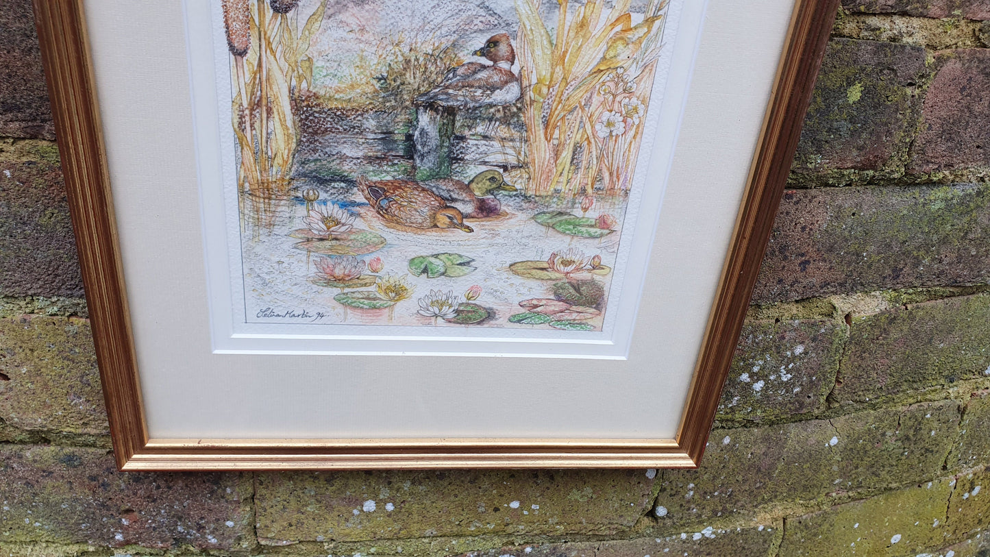 Delightful Ducks on a Pond Illustration Signed Vintage Original Artwork British Wildlife Flowers Framed