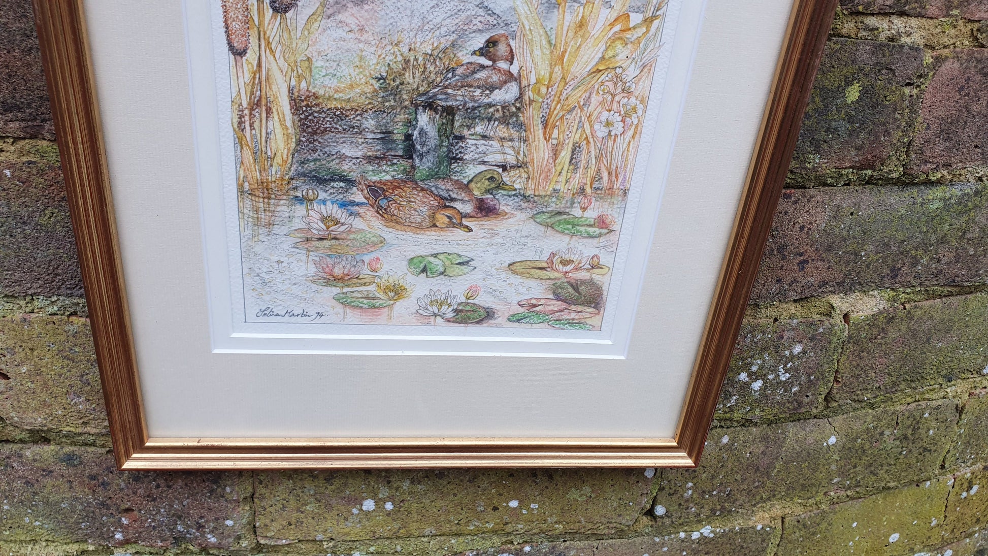 Delightful Ducks on a Pond Illustration Signed Vintage Original Artwork British Wildlife Flowers Framed
